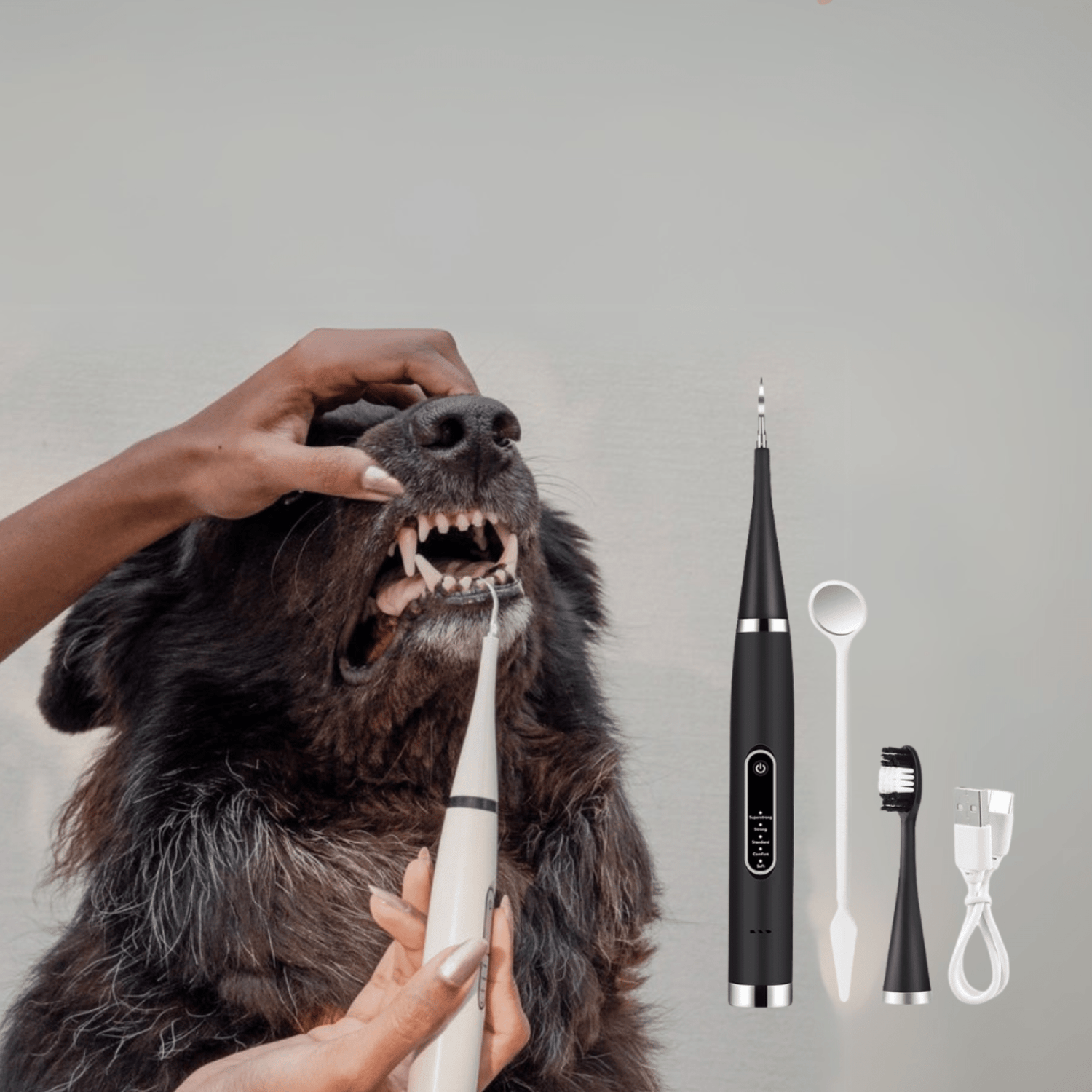 PawBrush - De Ultieme Tandverzorgingsset - Mivero