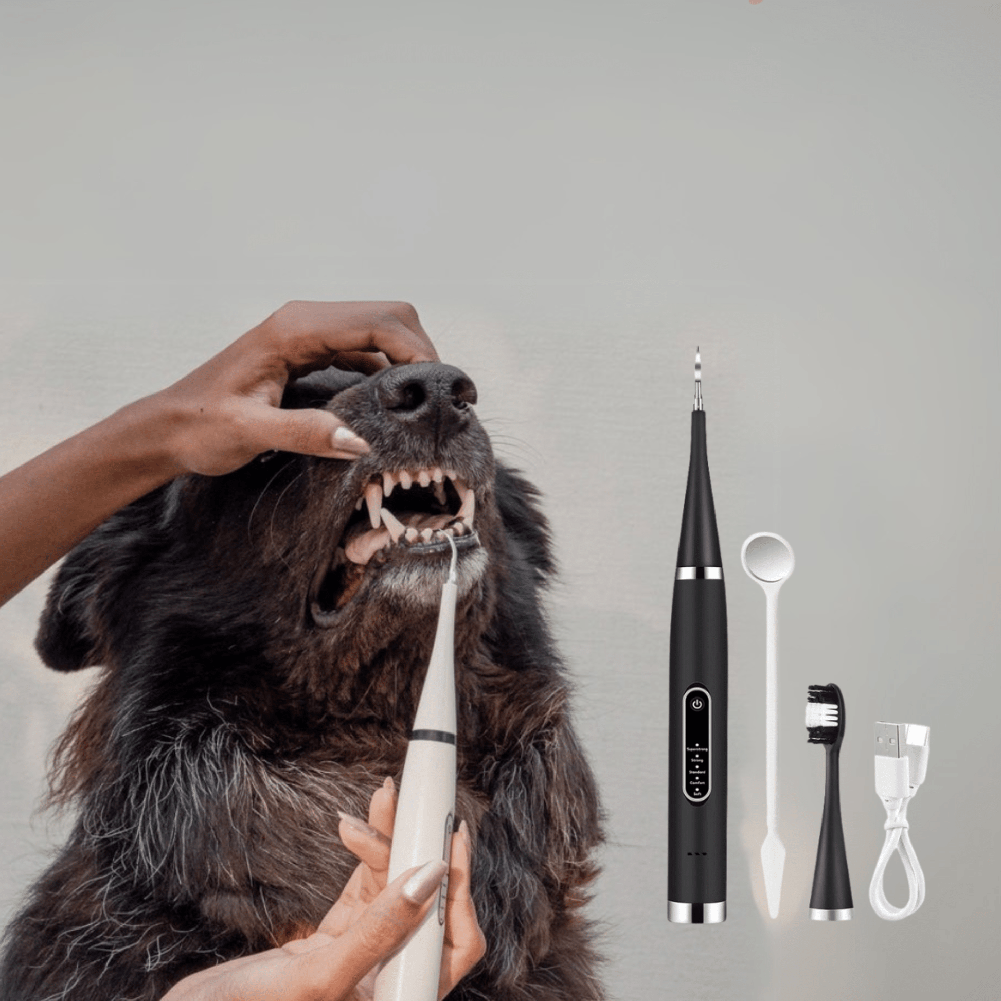 PawBrush - De Ultieme Tandverzorgingsset - Mivero