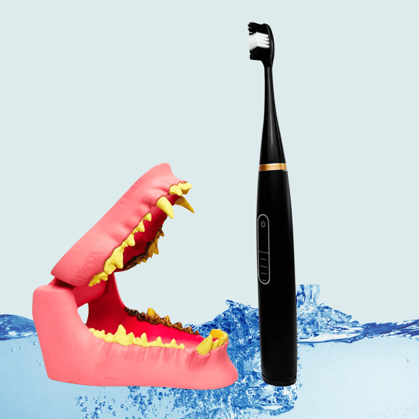 pawbrush - de ultieme tandverzorgingsset - mivero