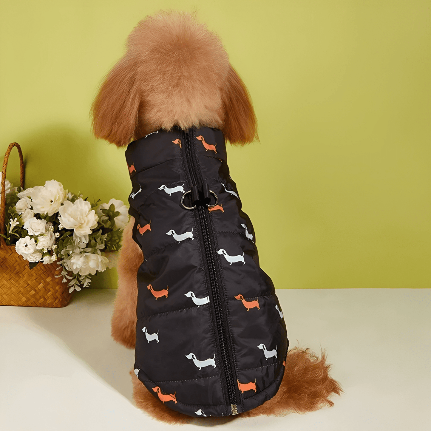 pawcozy - gevoerde rits hondenjas - mivero