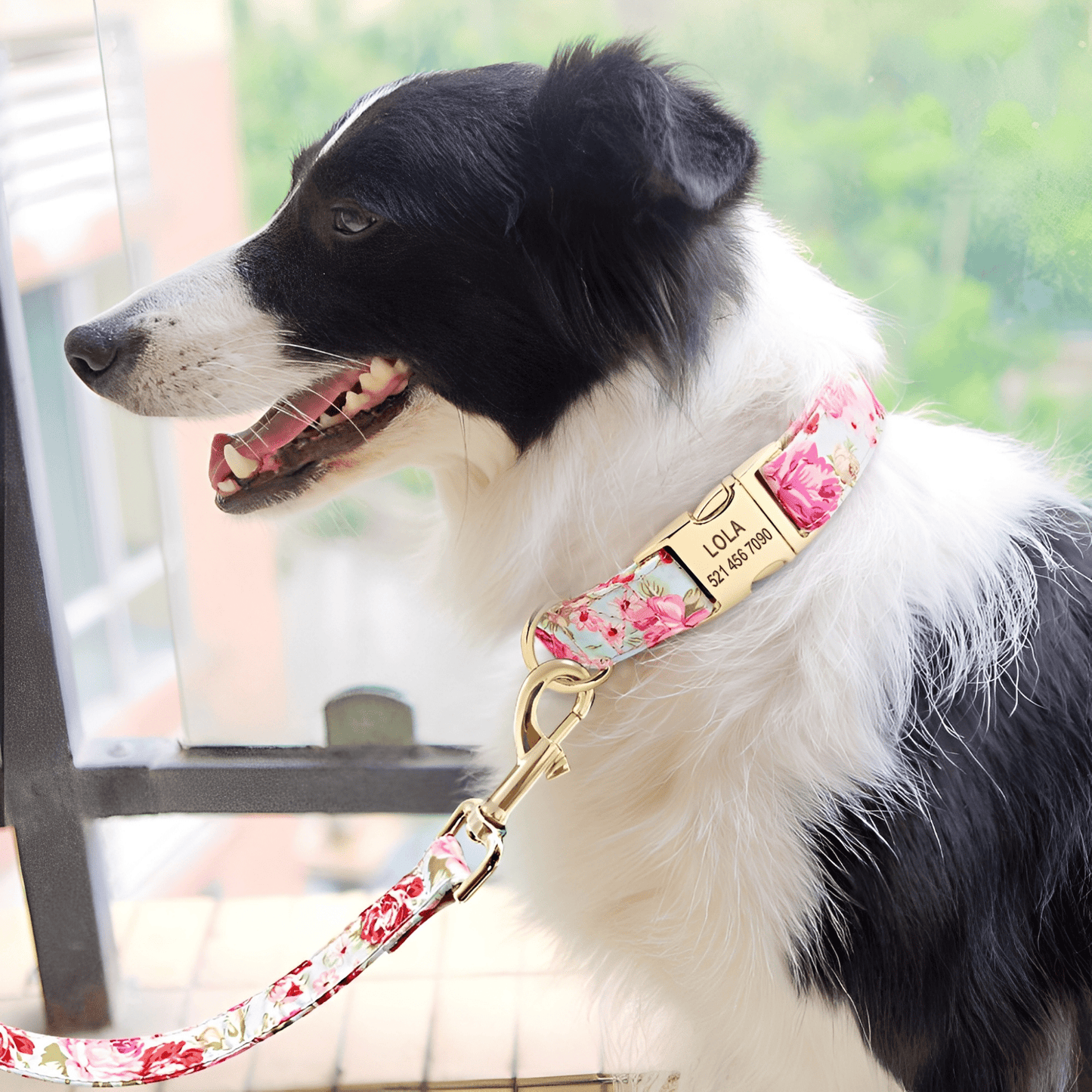 pawdentify - gegraveerde nylon hondenhalsband - mivero