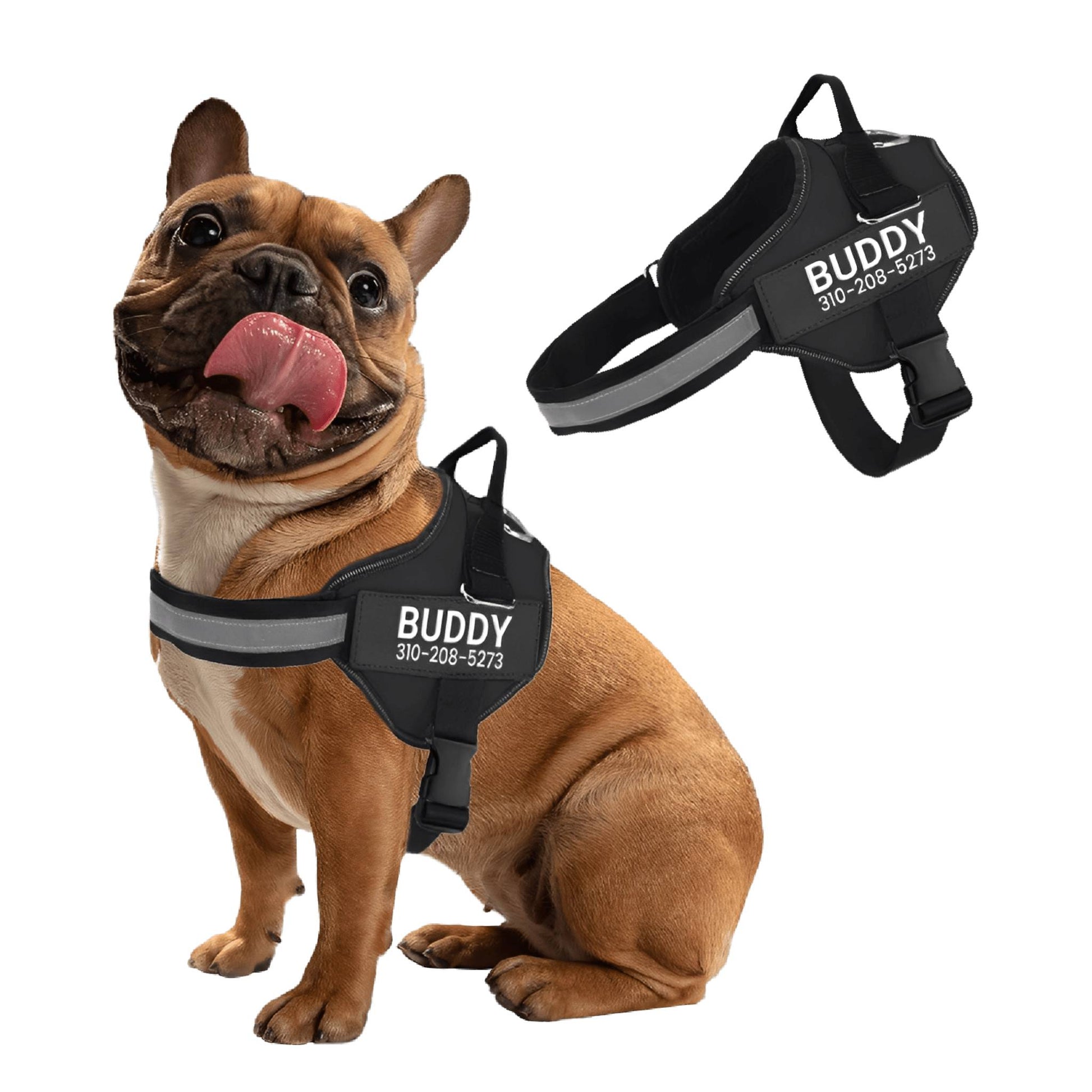 PawGuard - Gepersonaliseerd Hondentuigje - Mivero