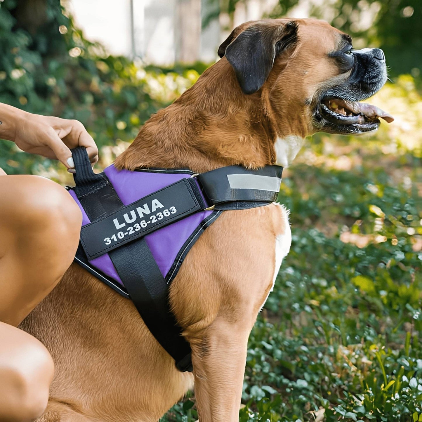 pawguard - gepersonaliseerd hondentuigje - mivero