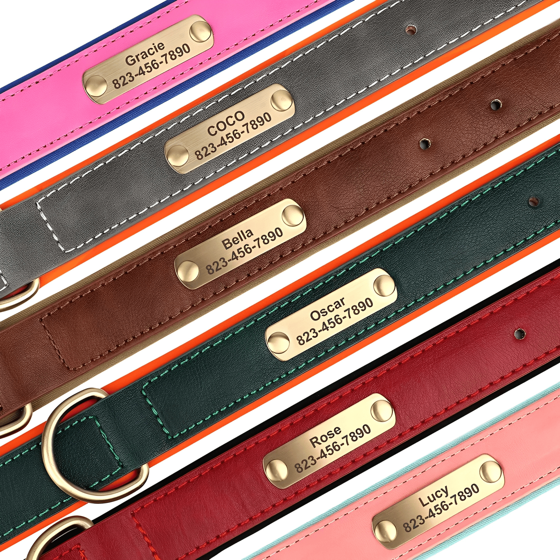 PawID - Gegraveerde Leren Hondenhalsband - Mivero