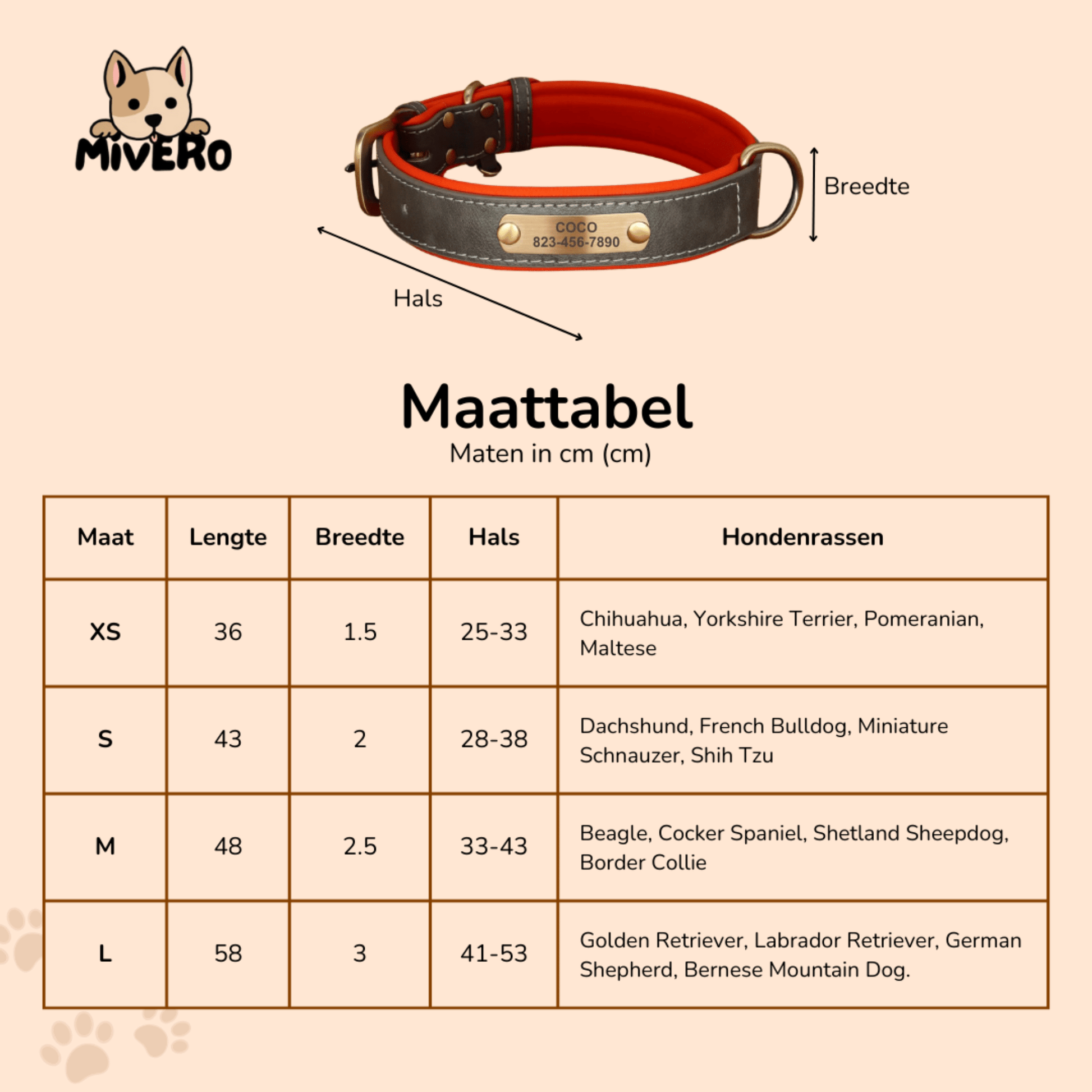 PawID - Gegraveerde Leren Hondenhalsband - Mivero