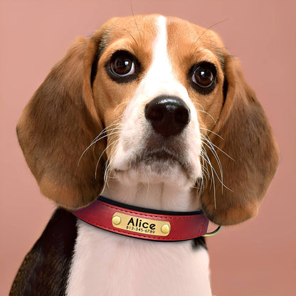 PawID - Gegraveerde Leren Hondenhalsband - Mivero