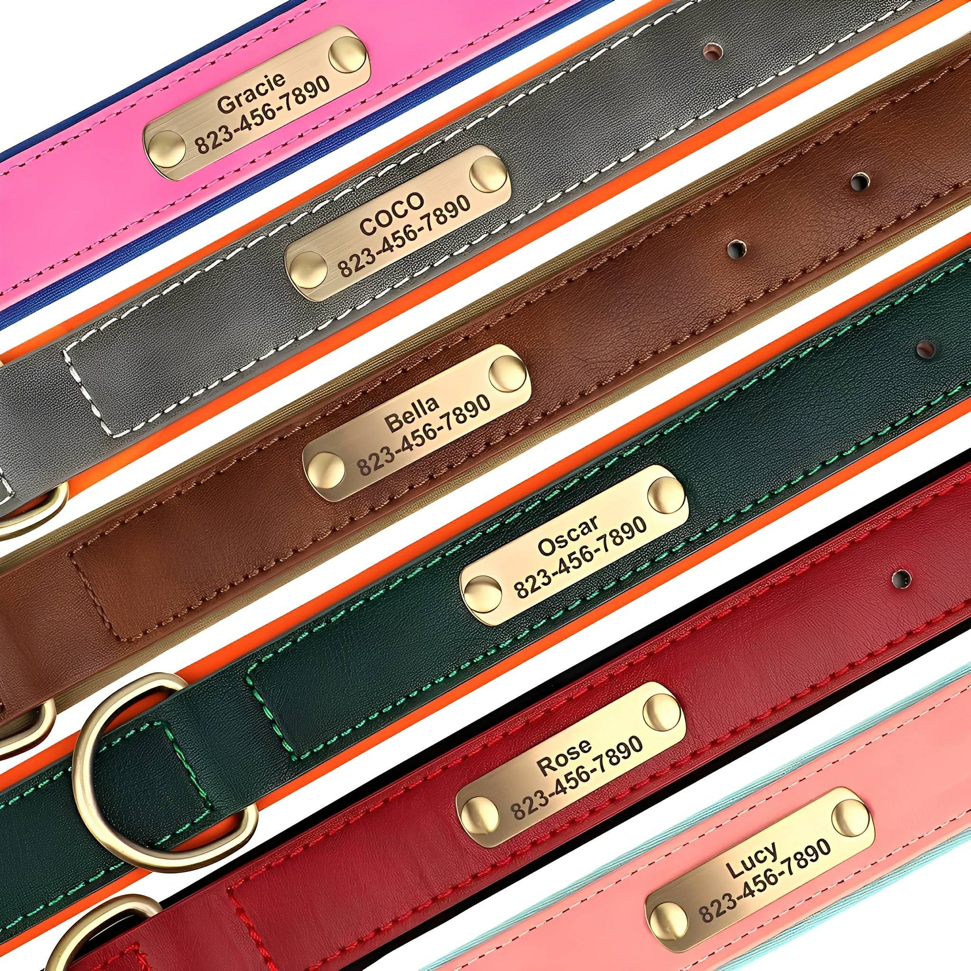 PawID - Gegraveerde Leren Hondenhalsband - Mivero