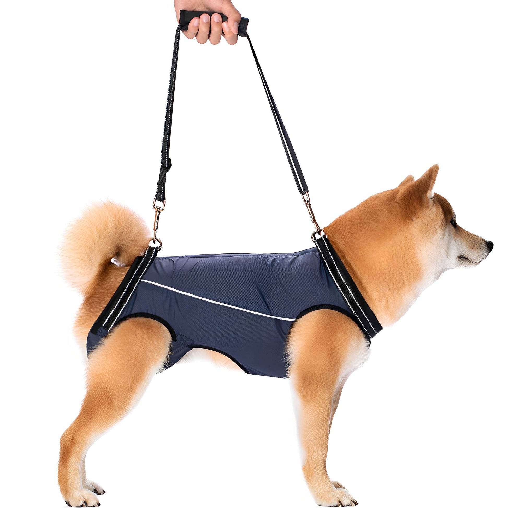 PawLift - Ondersteunend Tilharnas Hond - Mivero