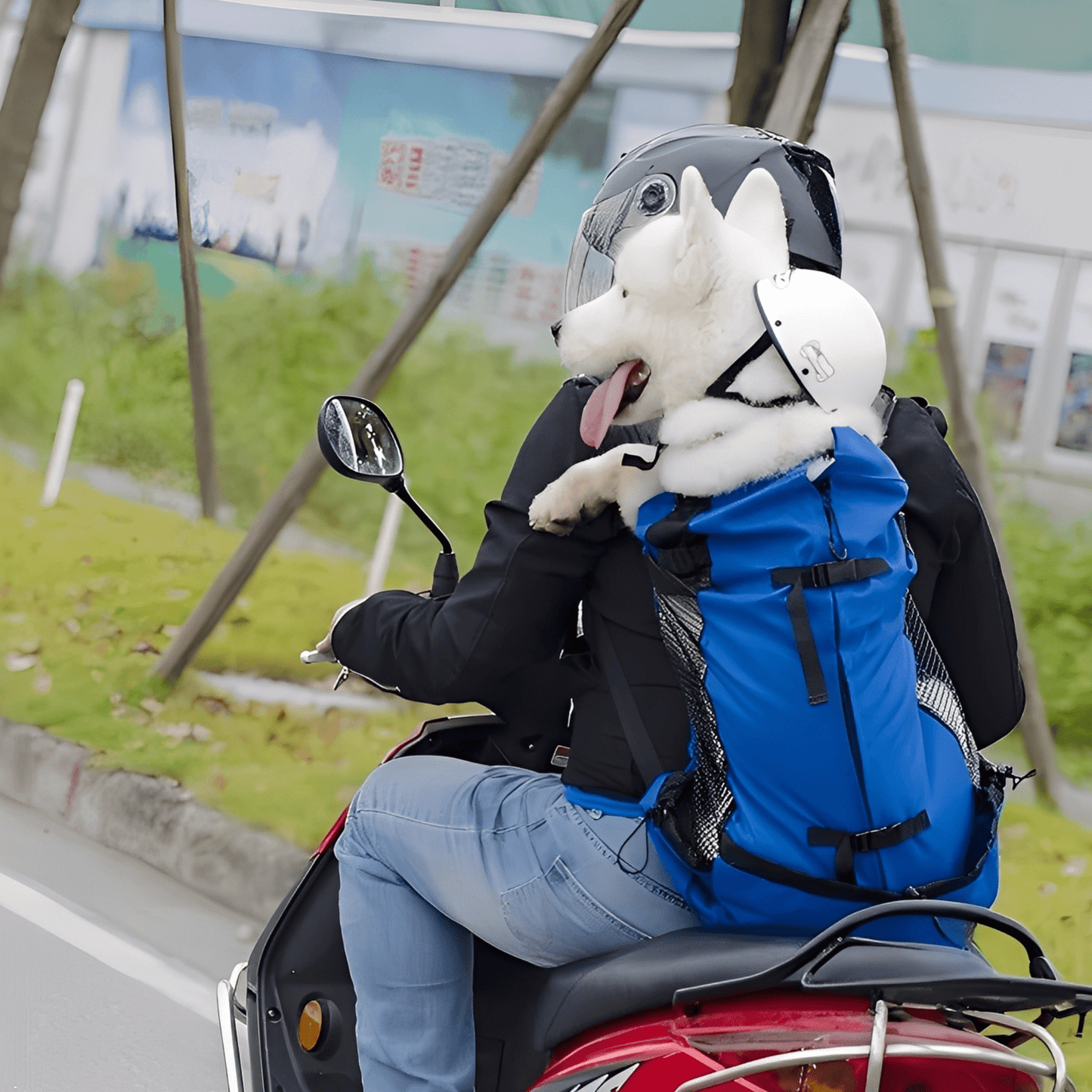 pawpack - ergonomische hondendraagzak rugzak - mivero