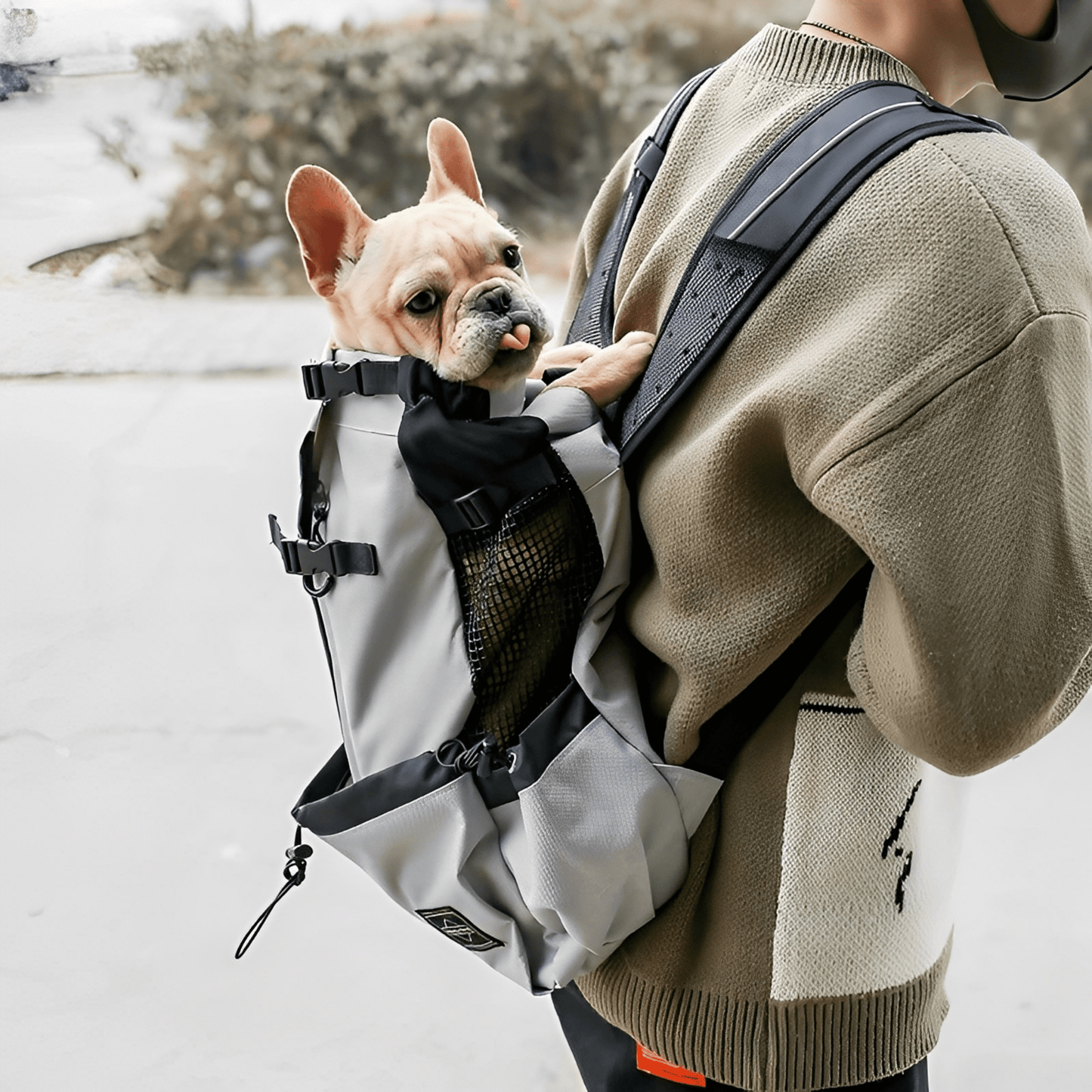 pawpack - ergonomische hondendraagzak rugzak - mivero