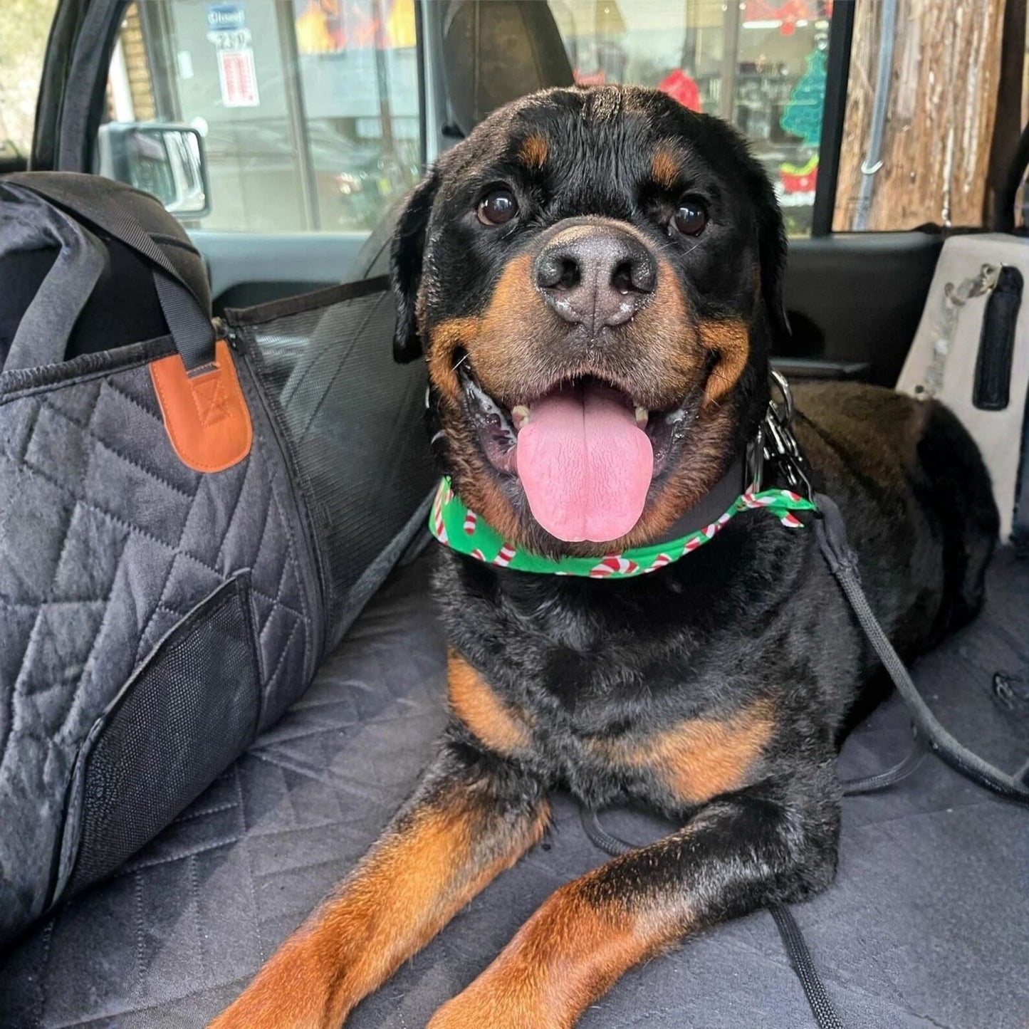 pawpad - honden achterbankverlenger harde bodem waterdicht - mivero