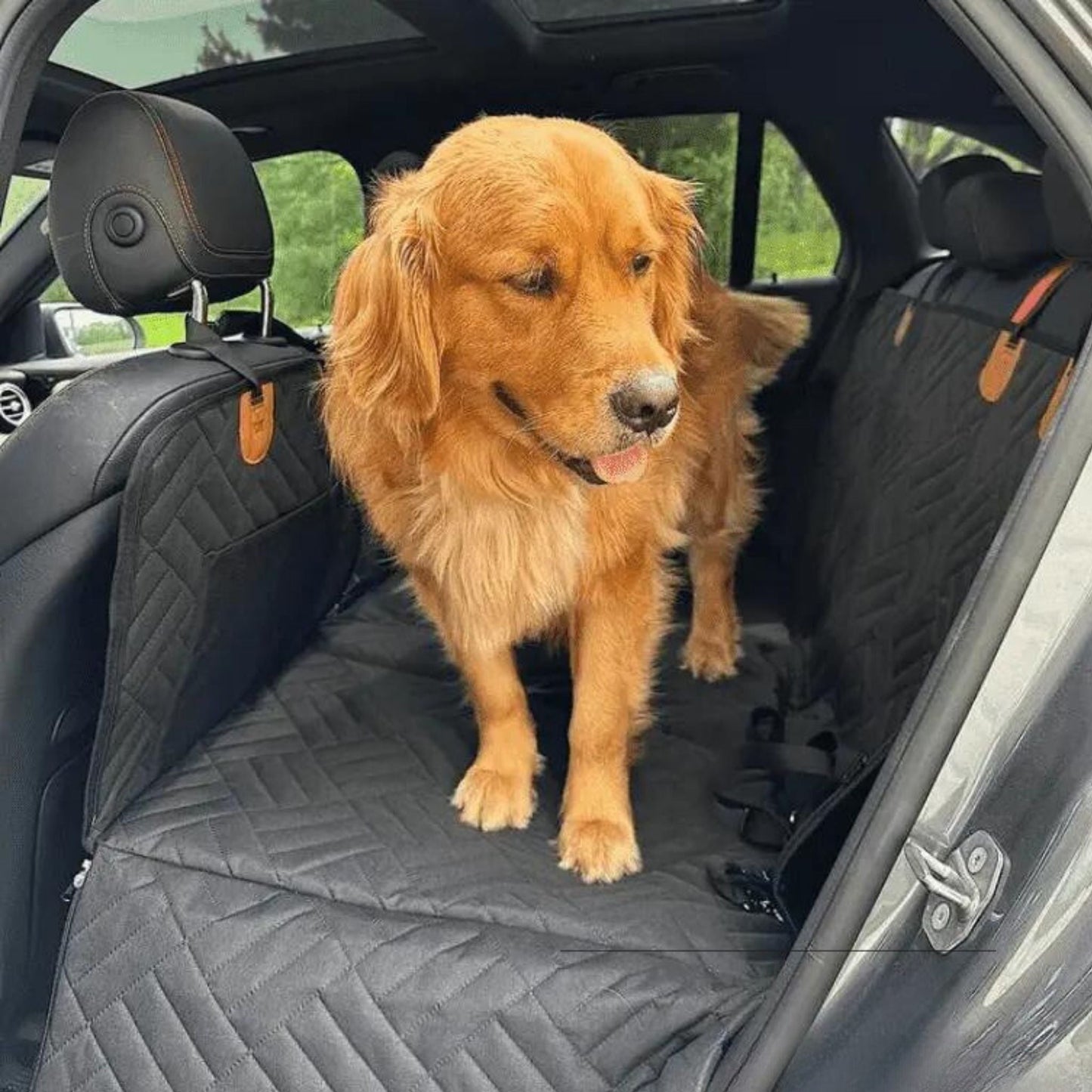 pawpad - honden achterbankverlenger harde bodem waterdicht - mivero