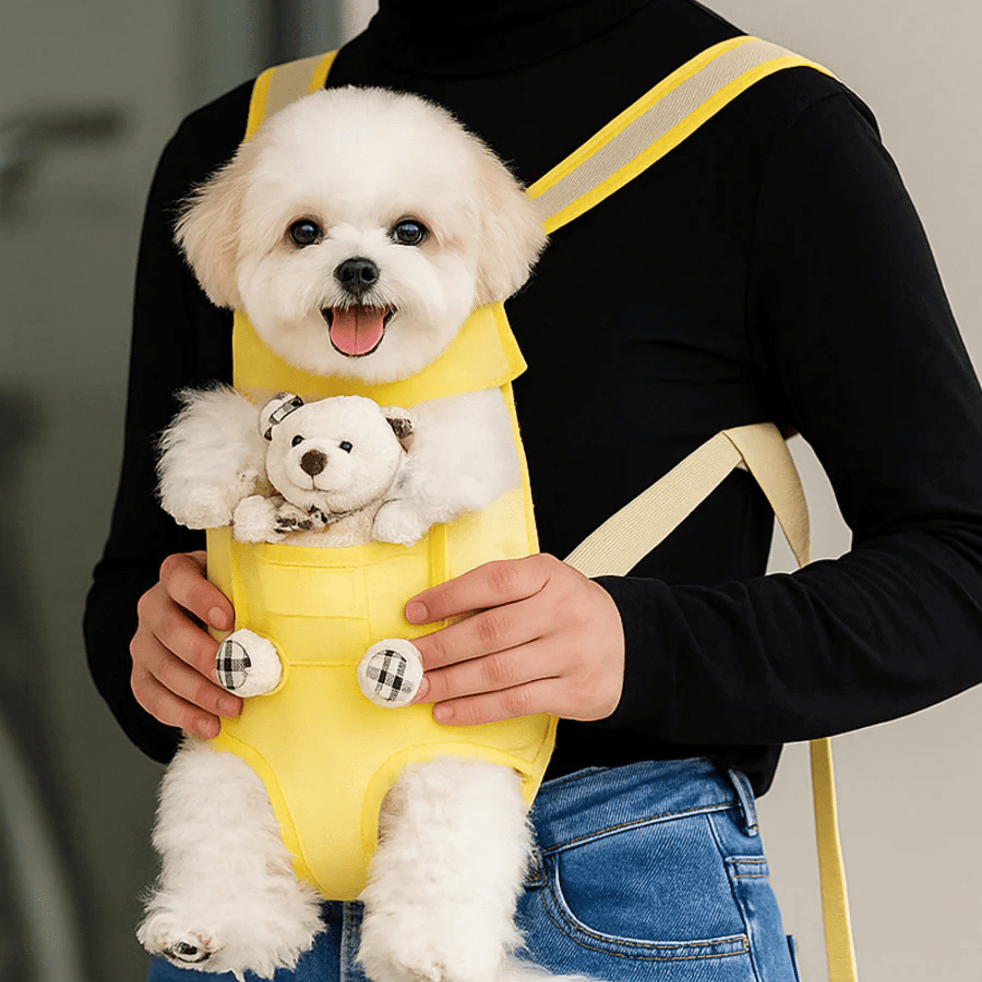 PawPorter - Draag je huisdier moeiteloos overal - Mivero