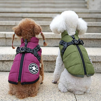 PawShield - Honden Winterjas - Mivero