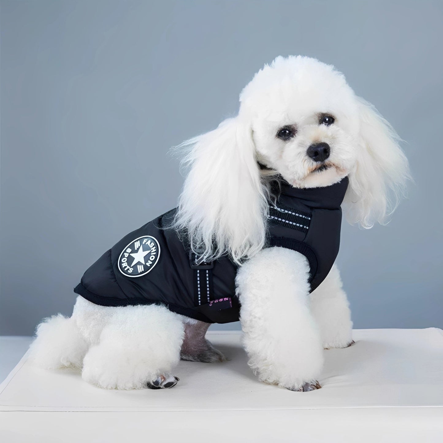 pawshield - honden winterjas - mivero