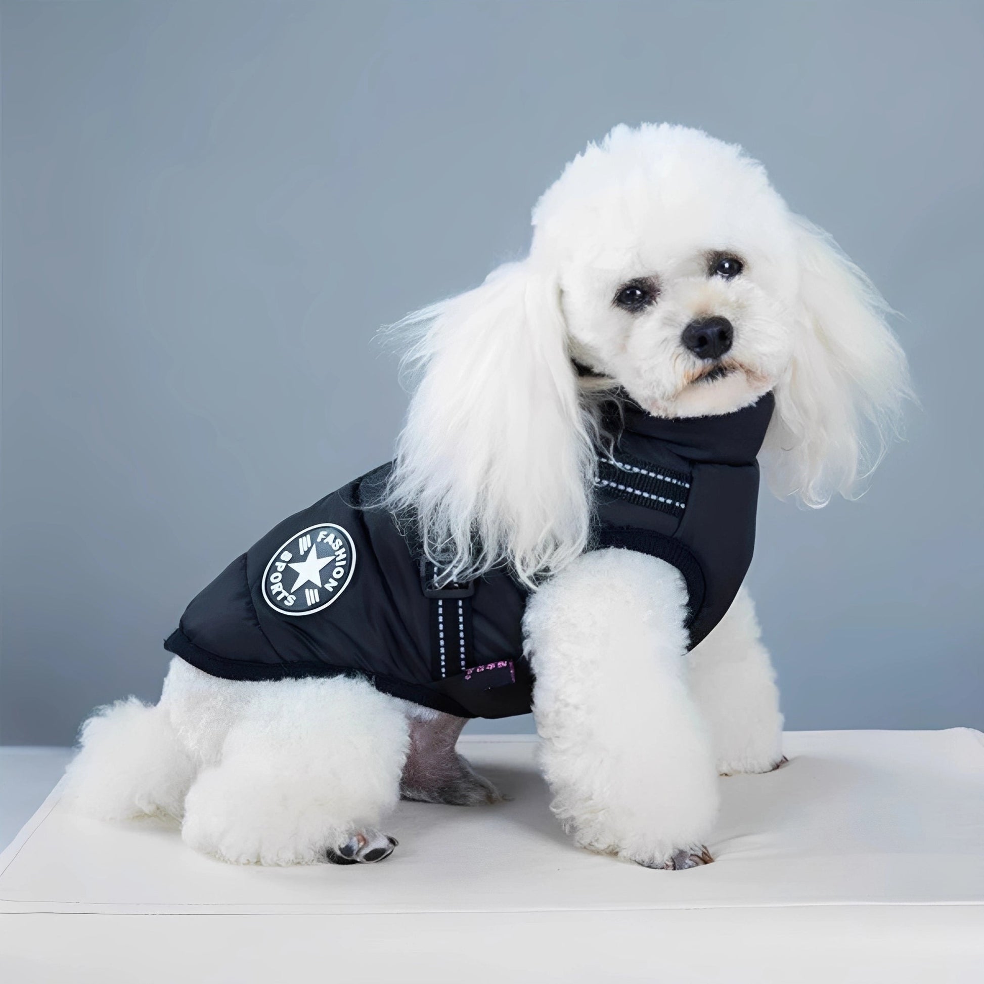PawShield - Honden Winterjas - Mivero
