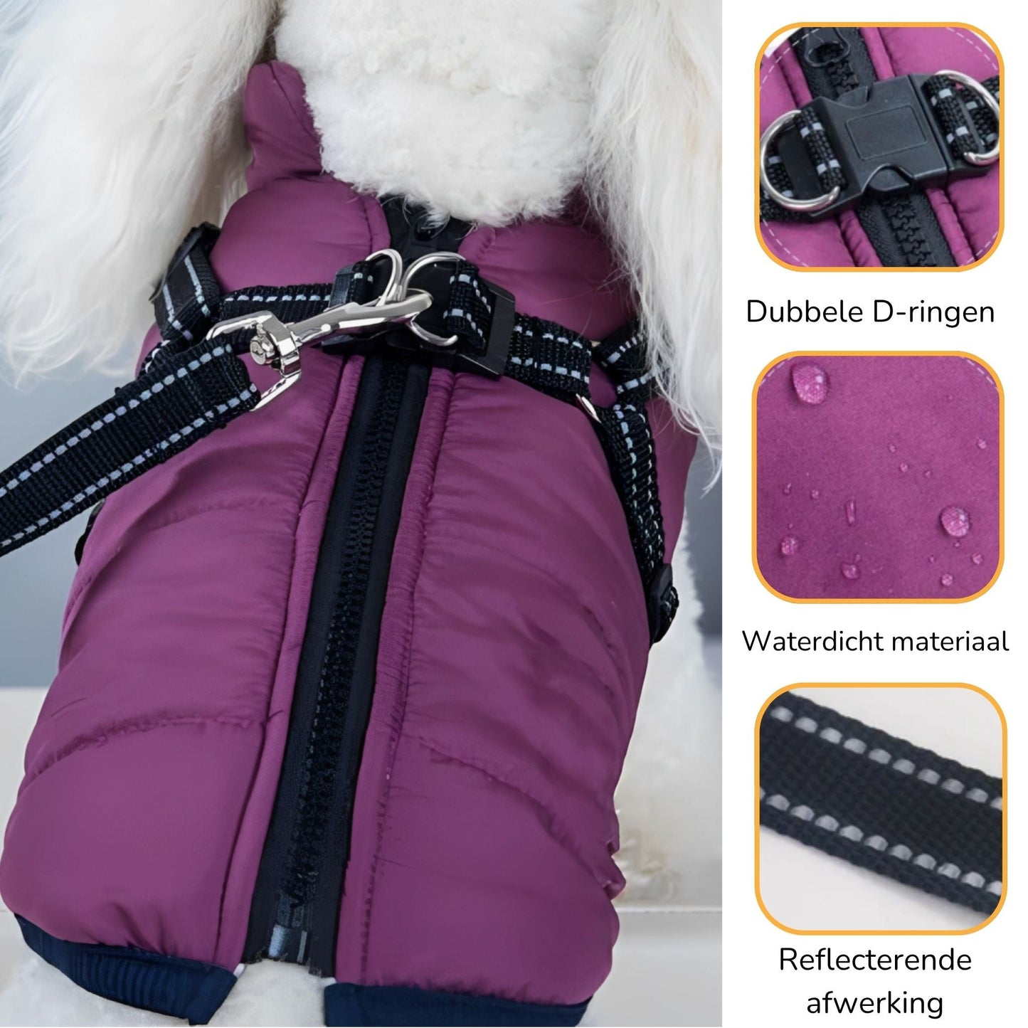 pawshield - honden winterjas - mivero