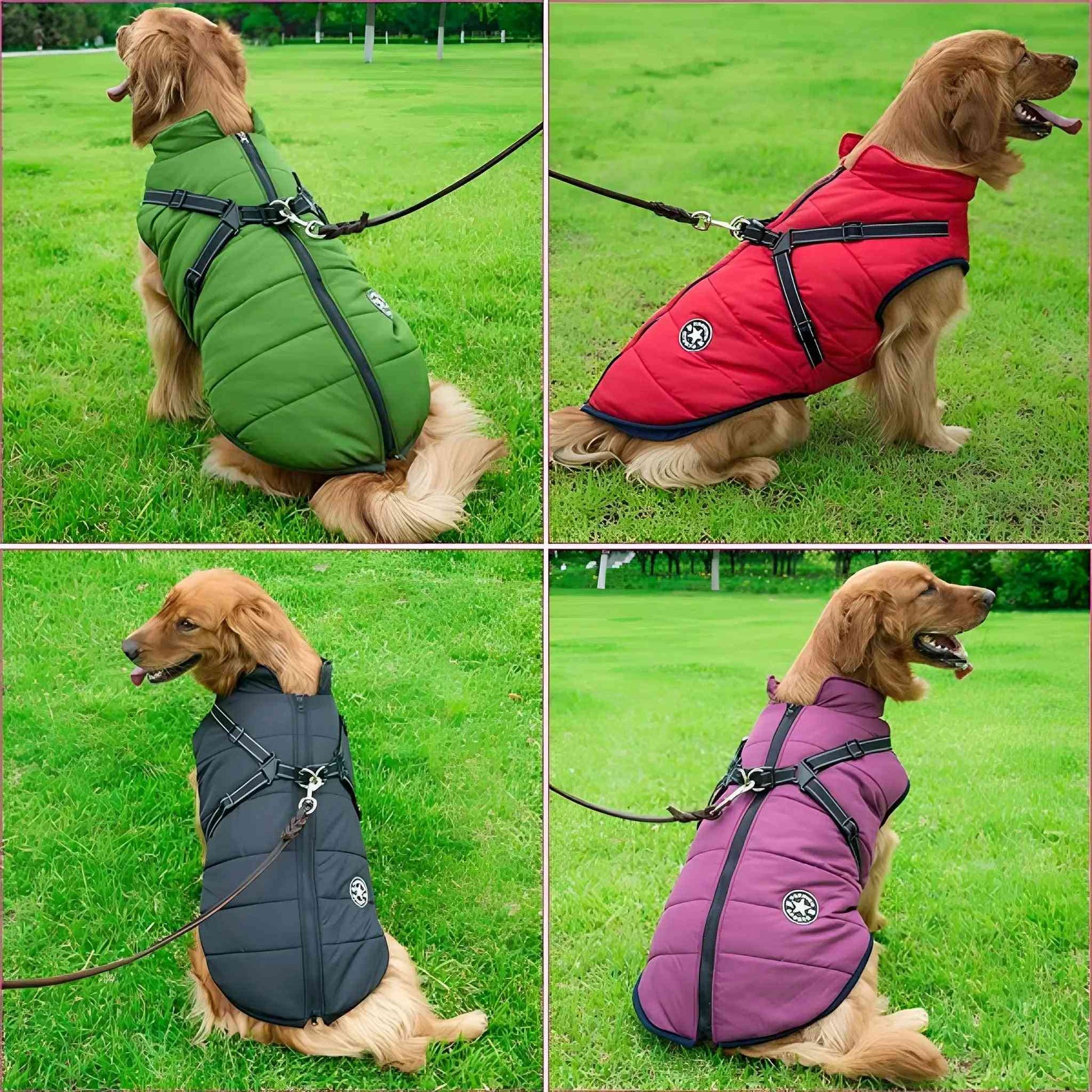 PawShield - Chaqueta de Invierno para Perros