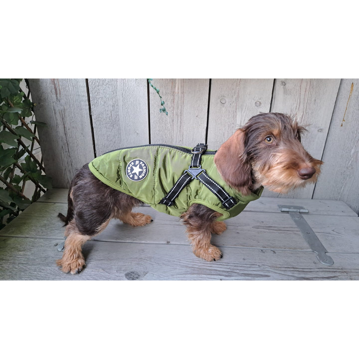 pawshield - hondenjas winter met ingebouwd tuig - mivero