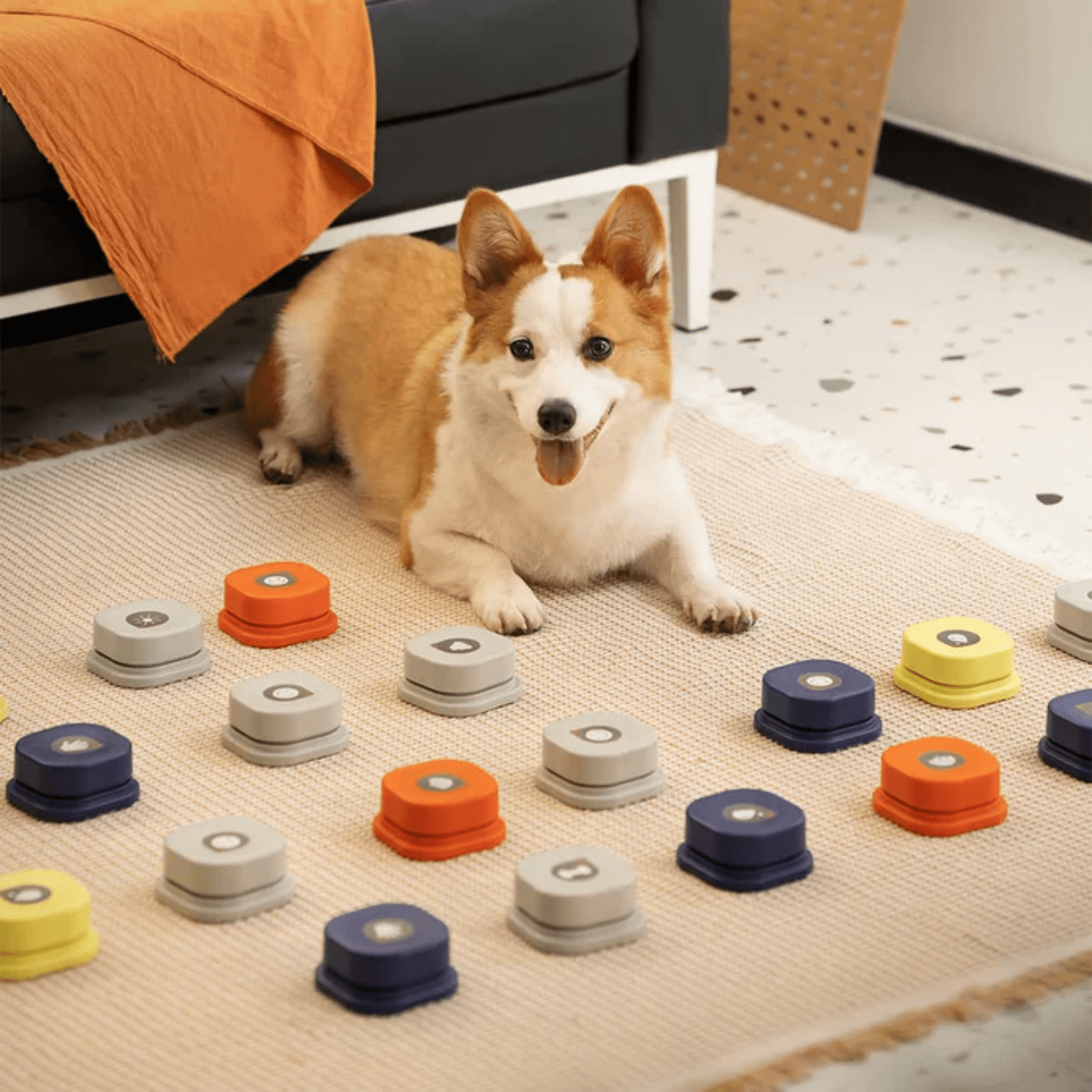 Pawtalk - Praatknoppen Honden Met Opnamefunctie - Mivero