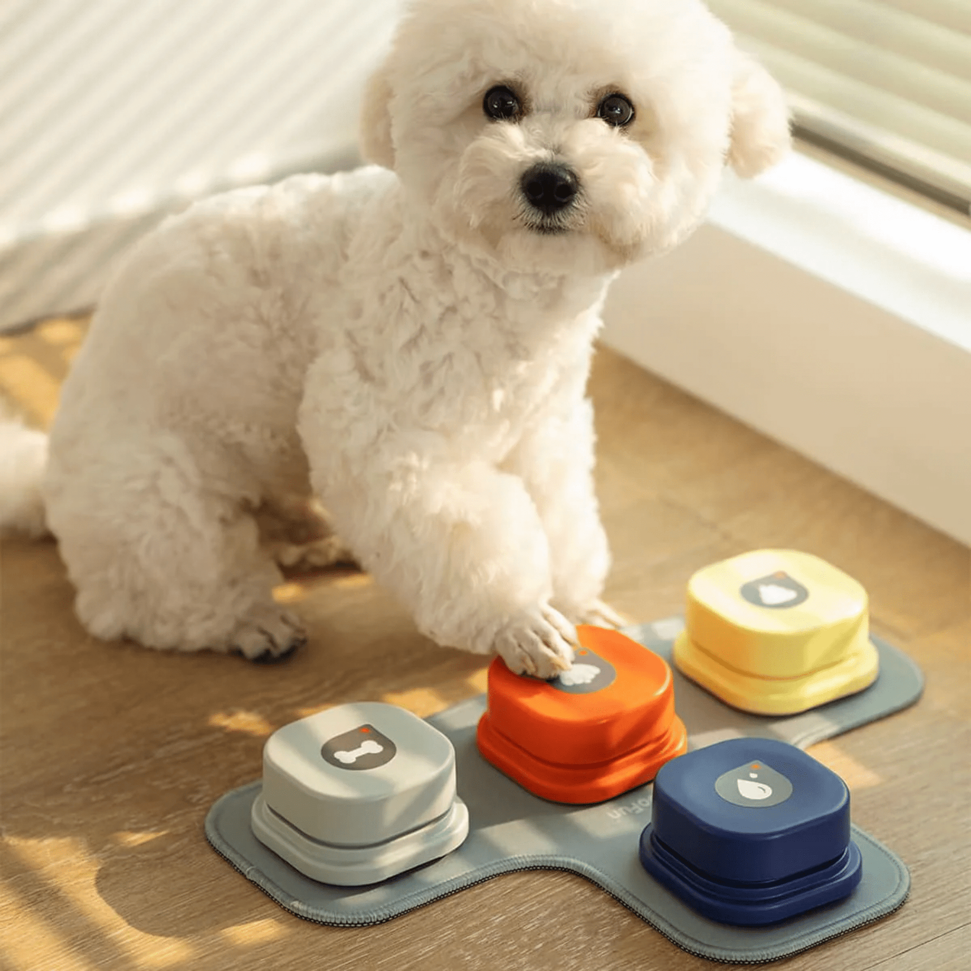 Pawtalk - Praatknoppen Honden Met Opnamefunctie - Mivero