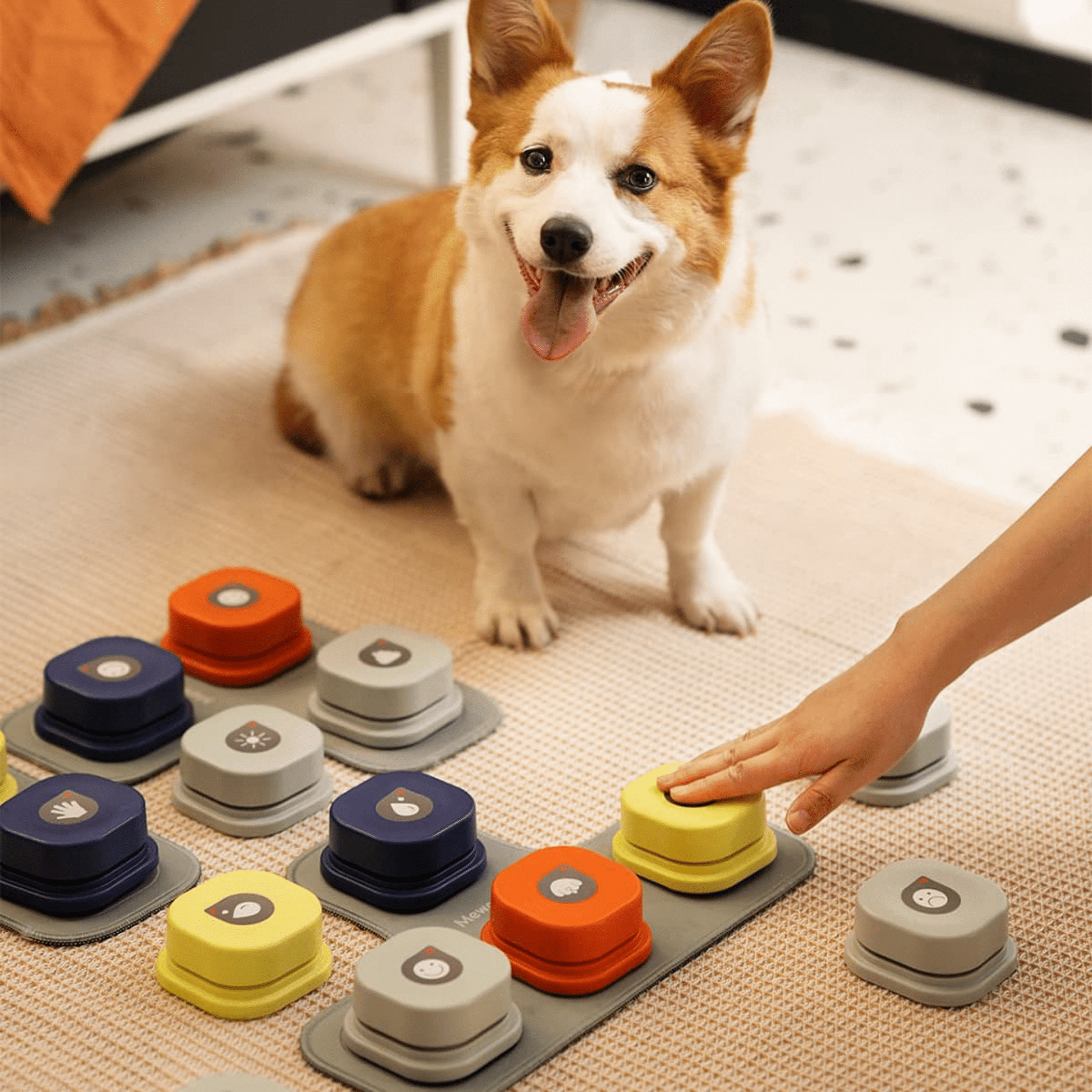 Pawtalk - Praatknoppen Honden Met Opnamefunctie - Mivero