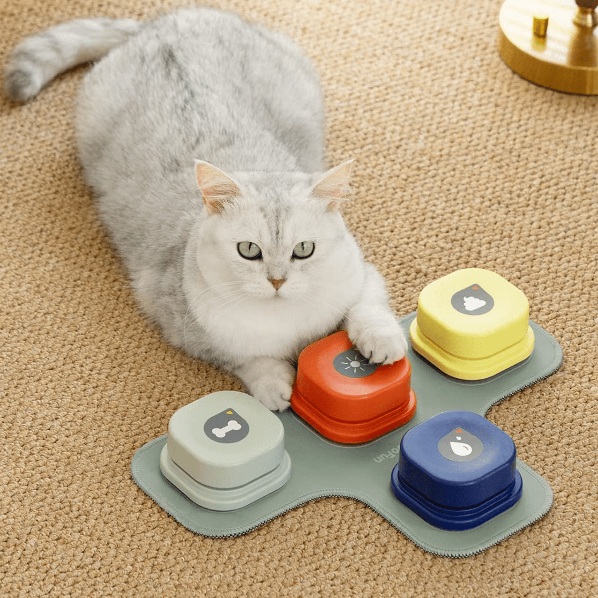 Pawtalk - Praatknoppen Honden Met Opnamefunctie - Mivero