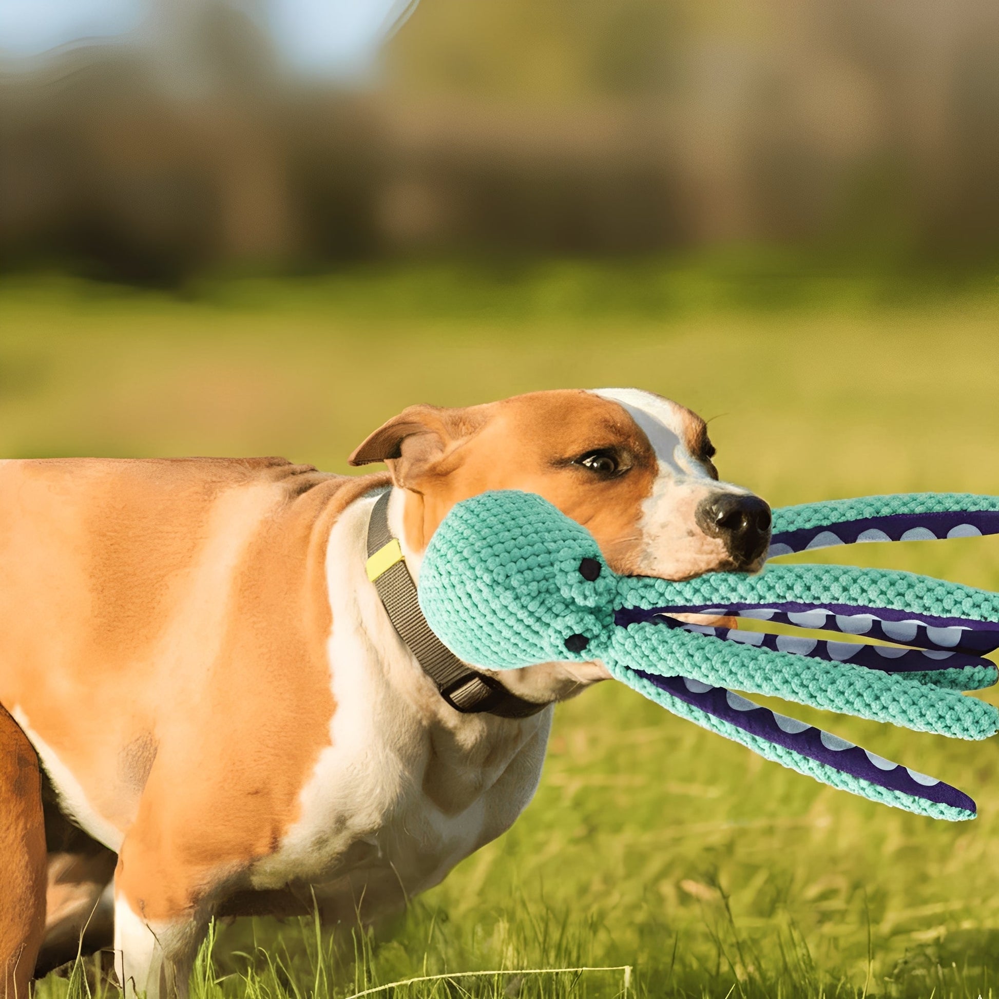 Pawzen - Speelgoed voor Honden Octopus Pluche met Pieper - Mivero
