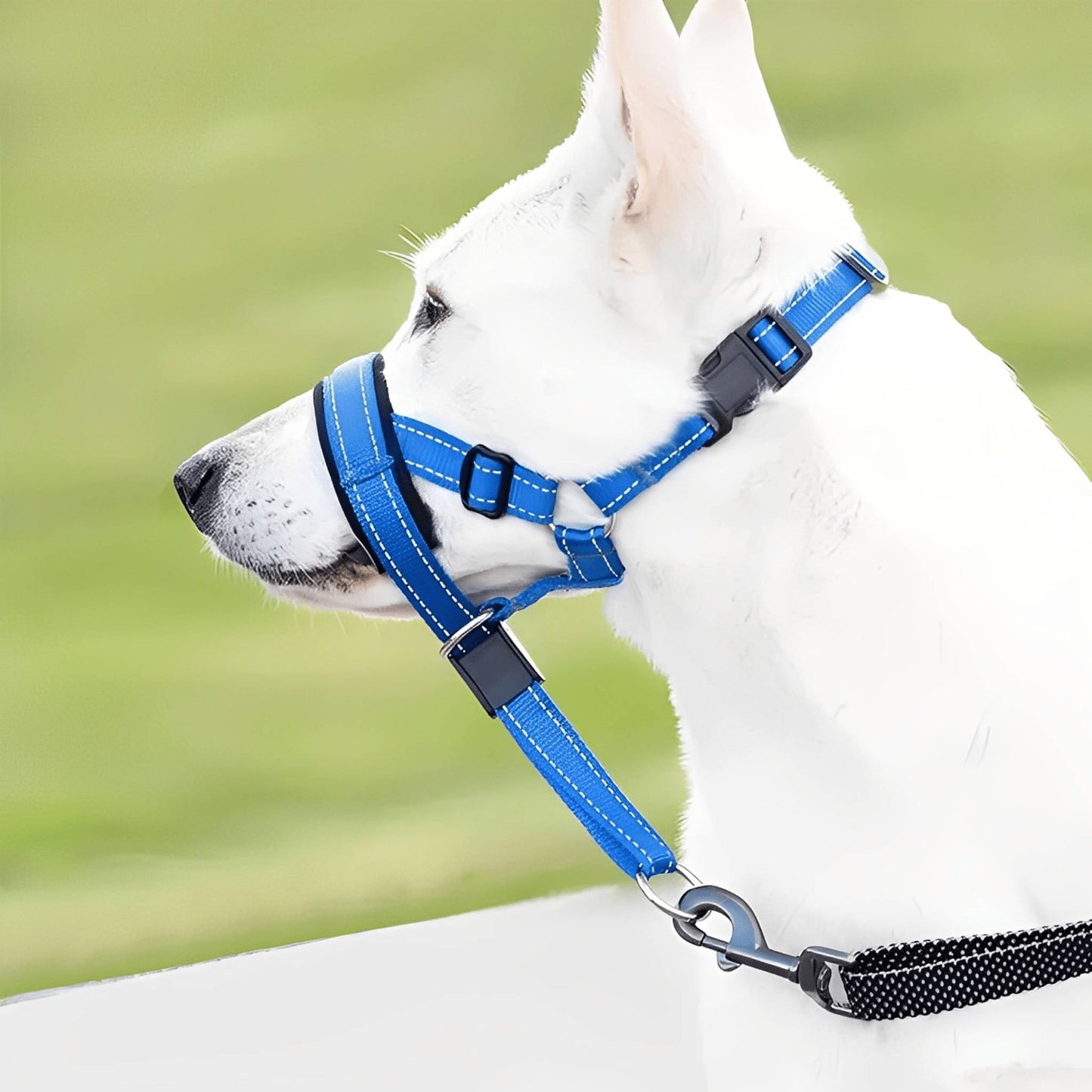 pullease - padded anti - trek hoofdharnas - mivero