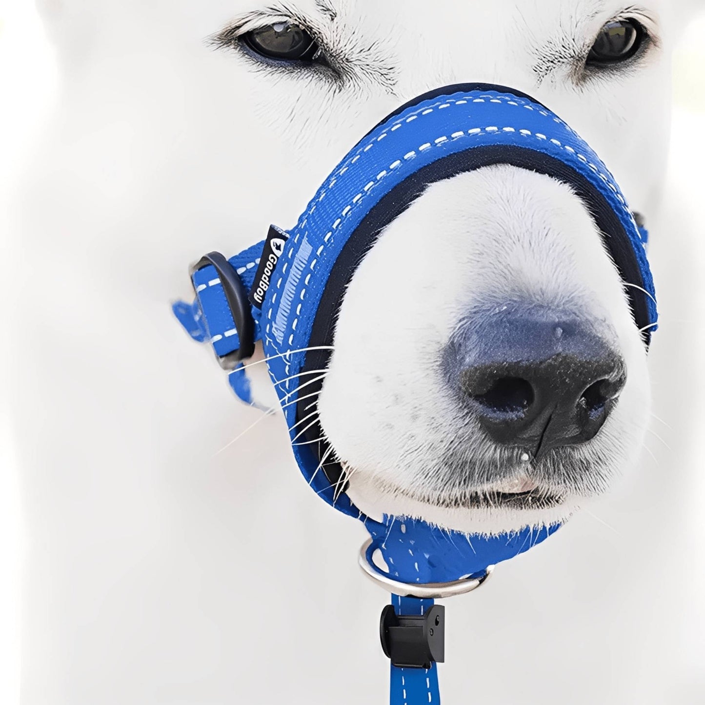 pullease - padded anti - trek hoofdharnas - mivero