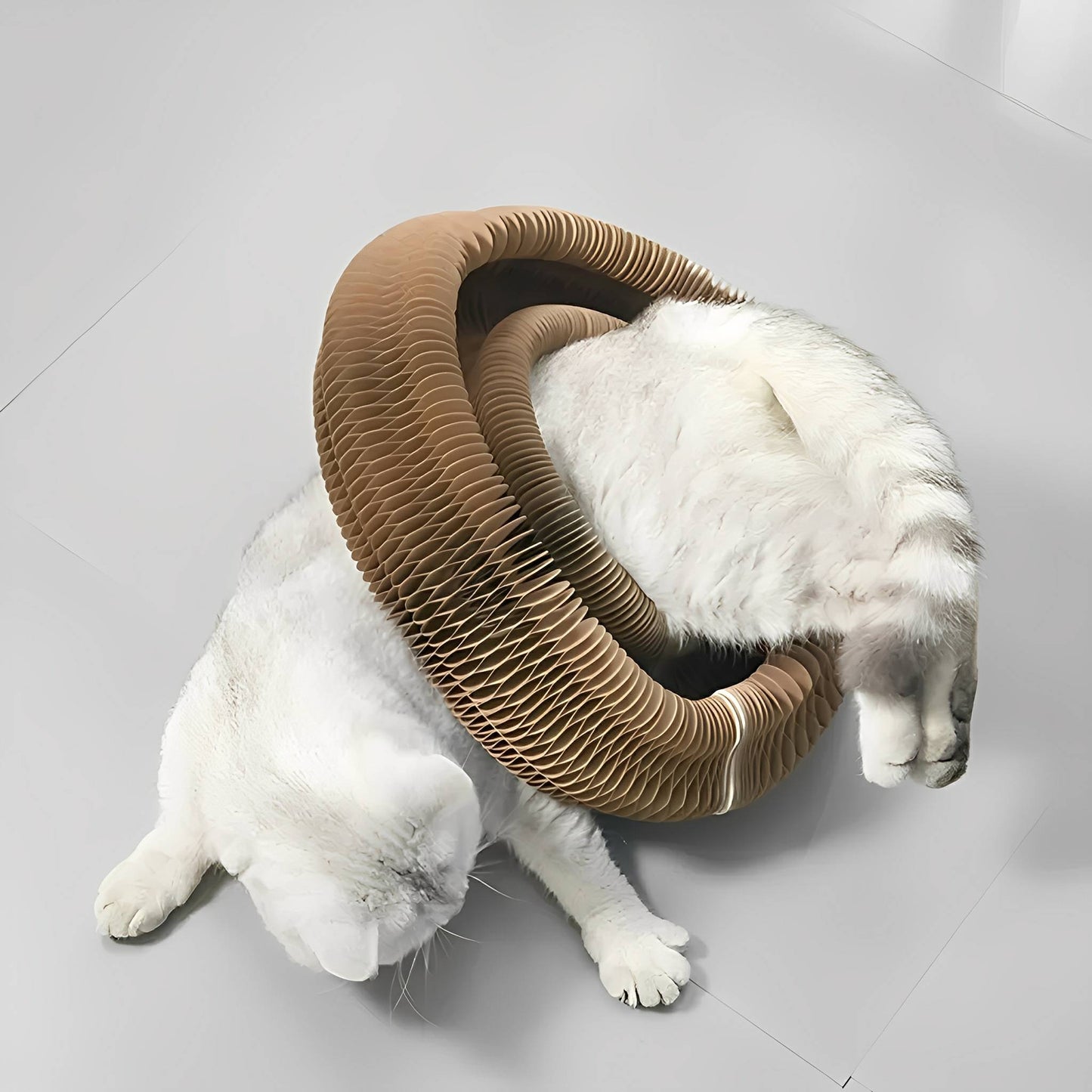 purrplex - katten krabkarton met balbaan - mivero