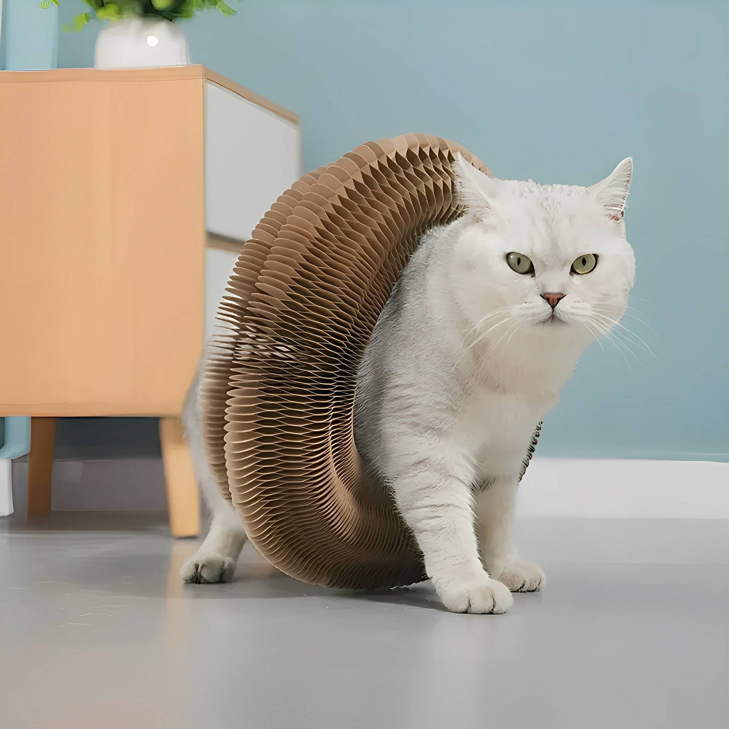 purrplex - katten krabkarton met balbaan - mivero