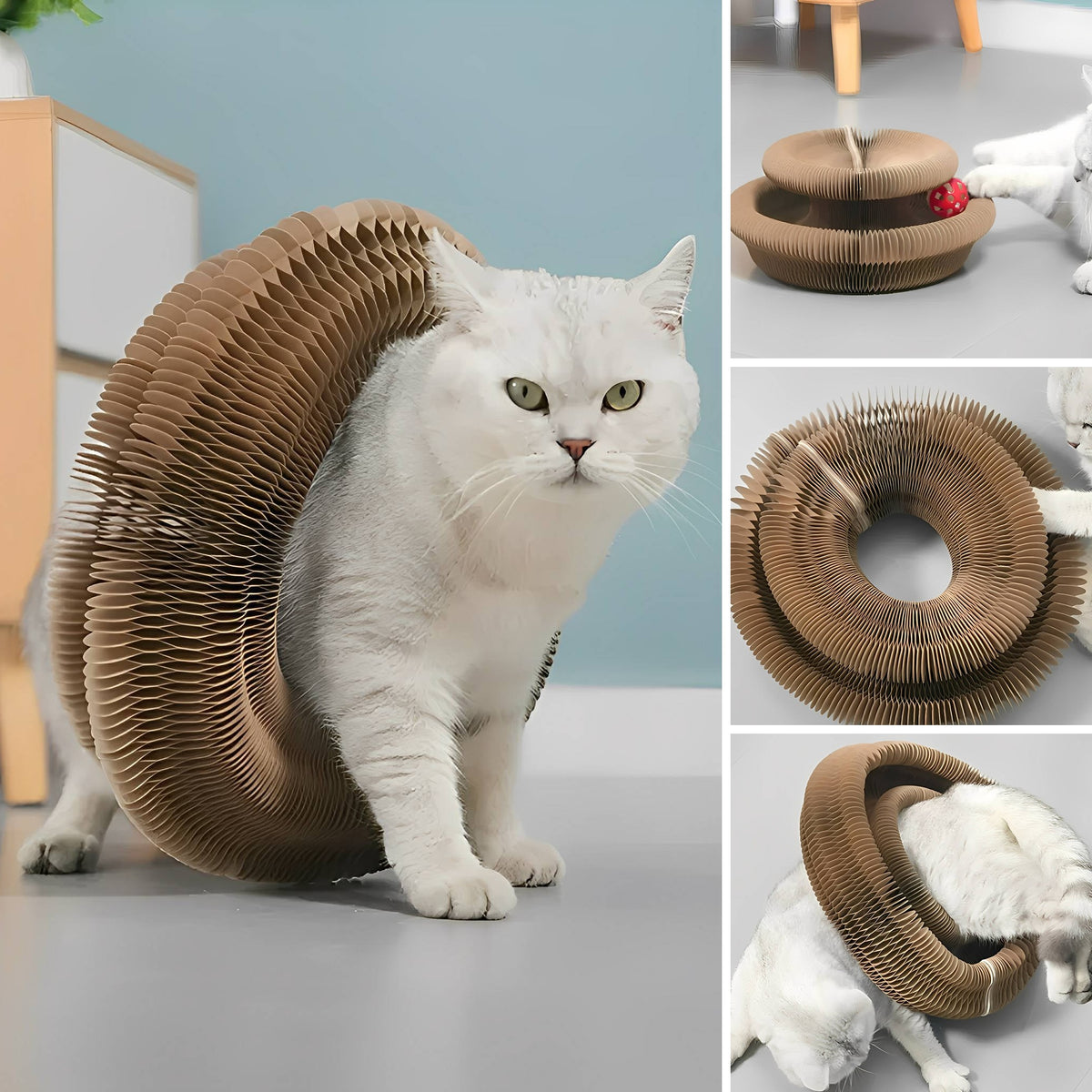 PurrPlex - Katten Krabkarton met Balbaan - Mivero