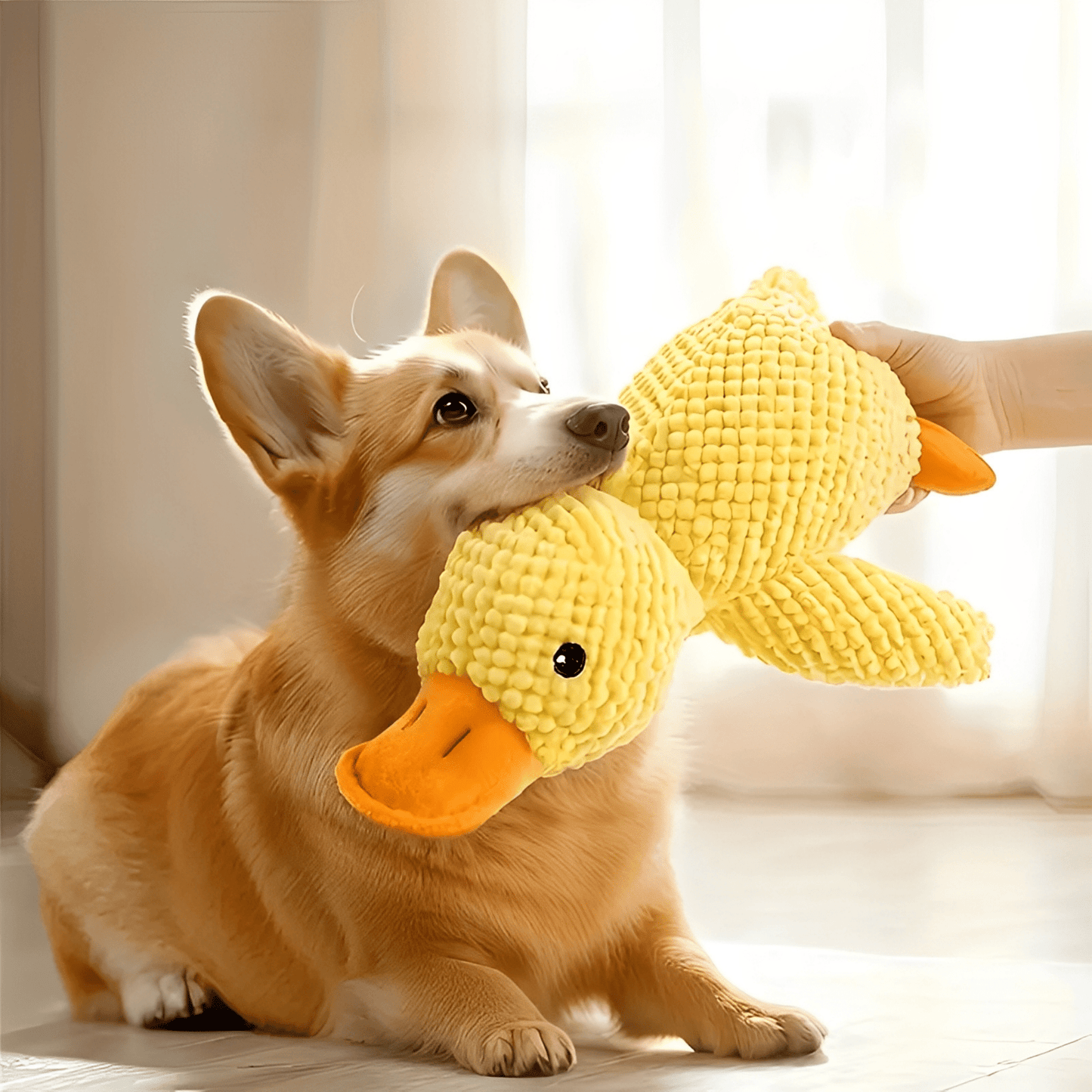 quackmate - honden stress eend knuffel - mivero