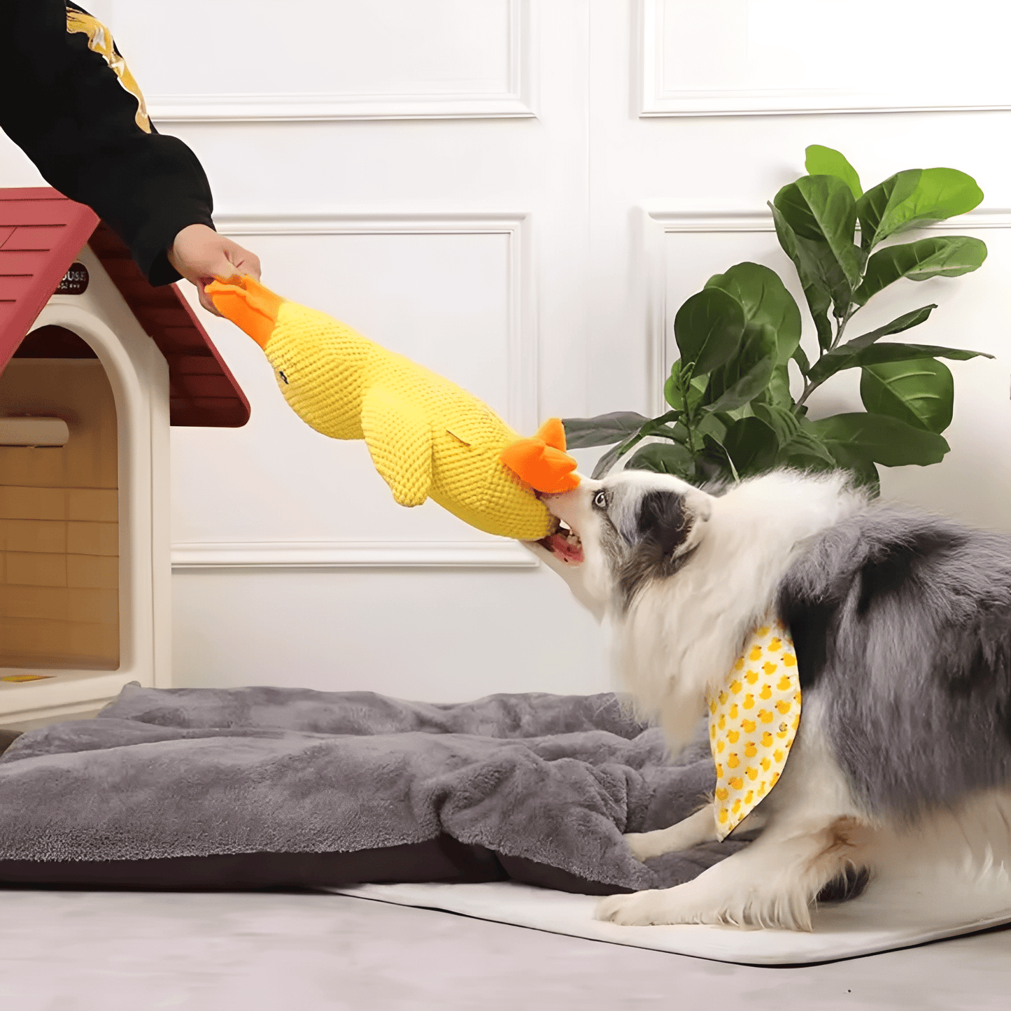 quackmate - honden stress eend knuffel - mivero