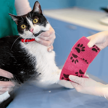 SafePaws - Stofwerend Herstelverband voor Hond - Mivero