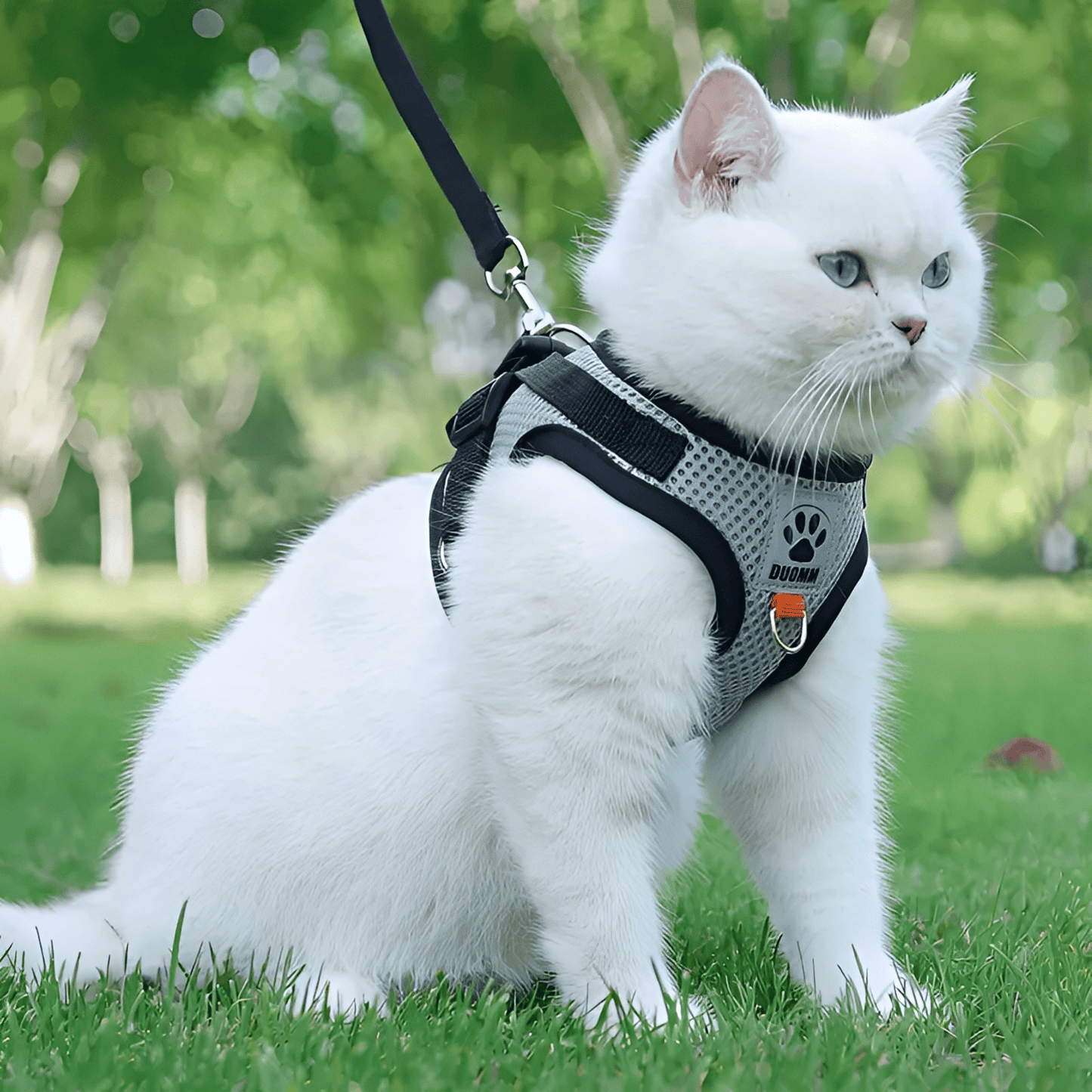 snugfit - ontsnappingsveilig reflecterend kattentuig - mivero