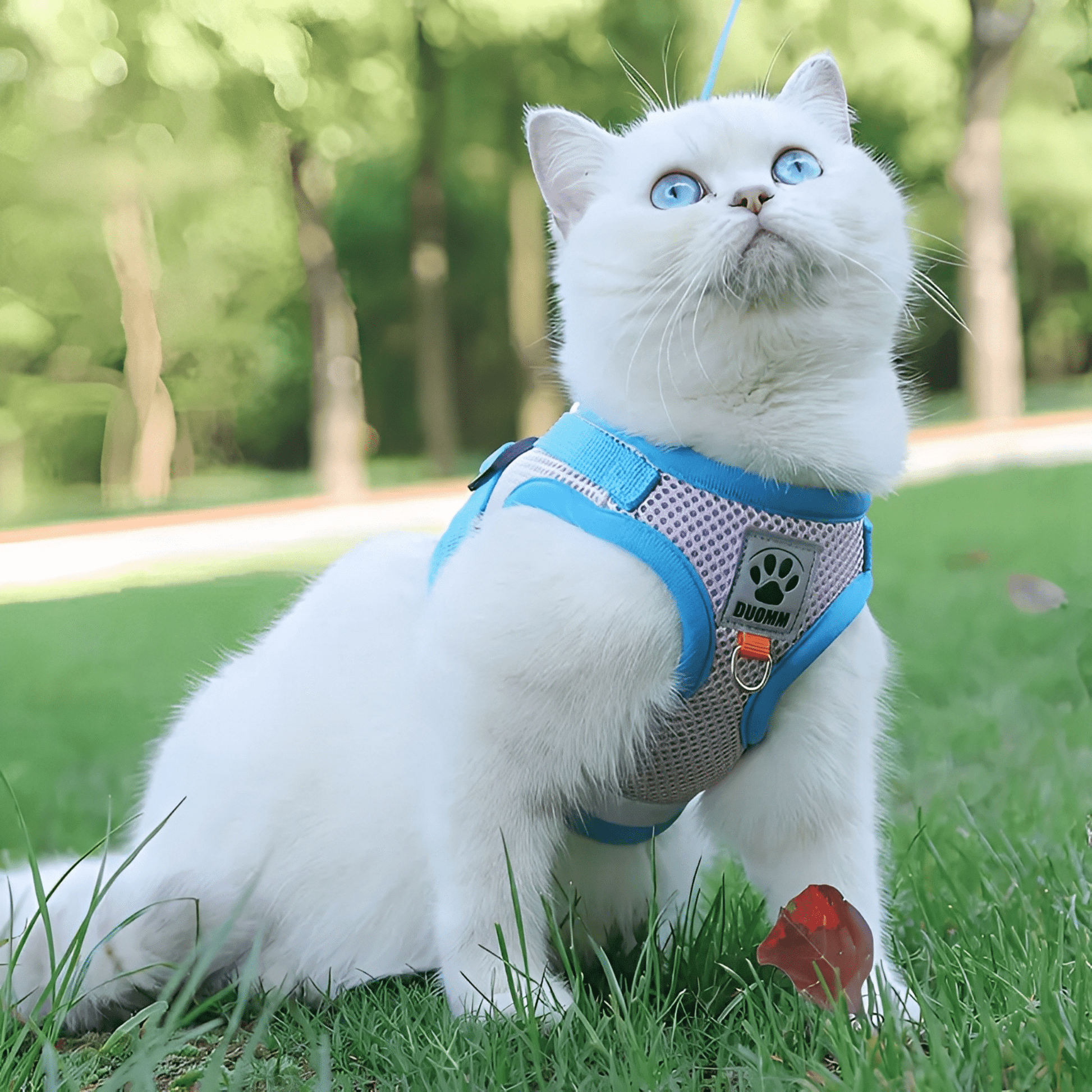 SnugFit - Ontsnappingsveilig Reflecterend Kattentuig - Mivero