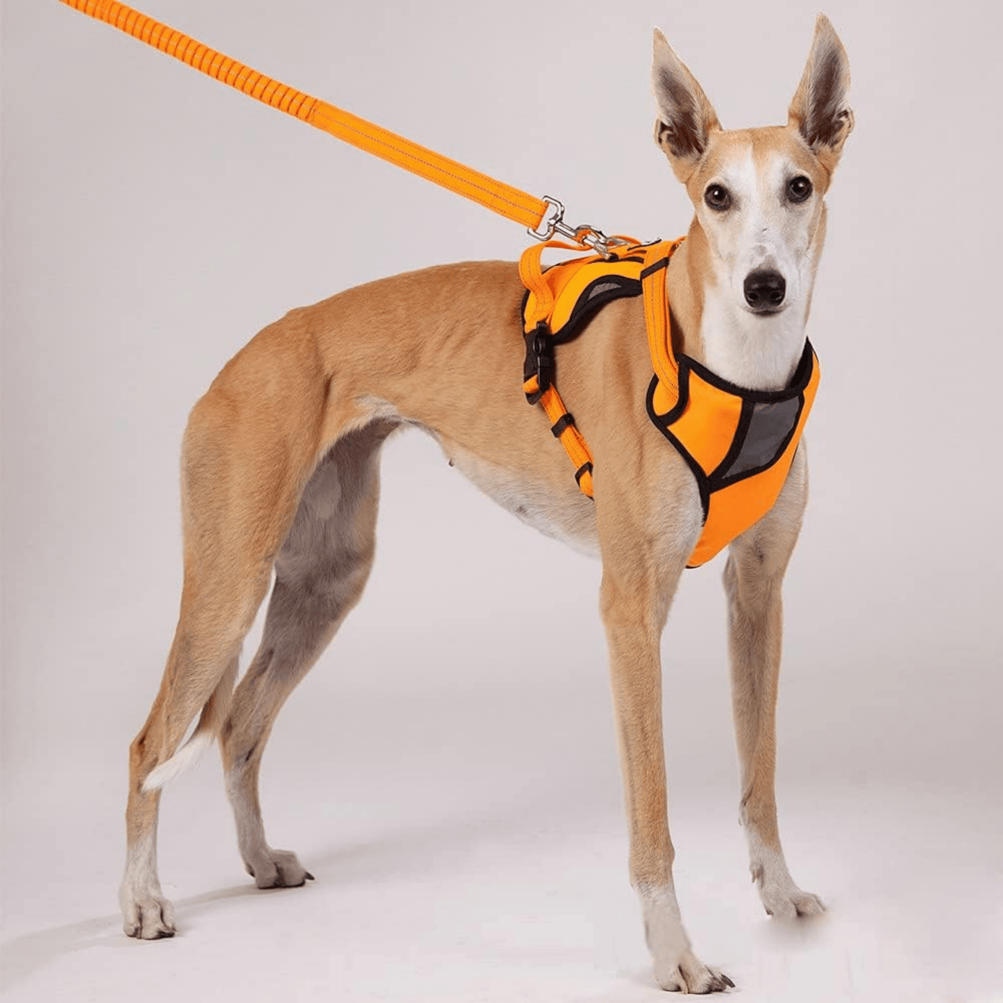 snuglead - schokabsorberende anti - trek hondenriem - mivero