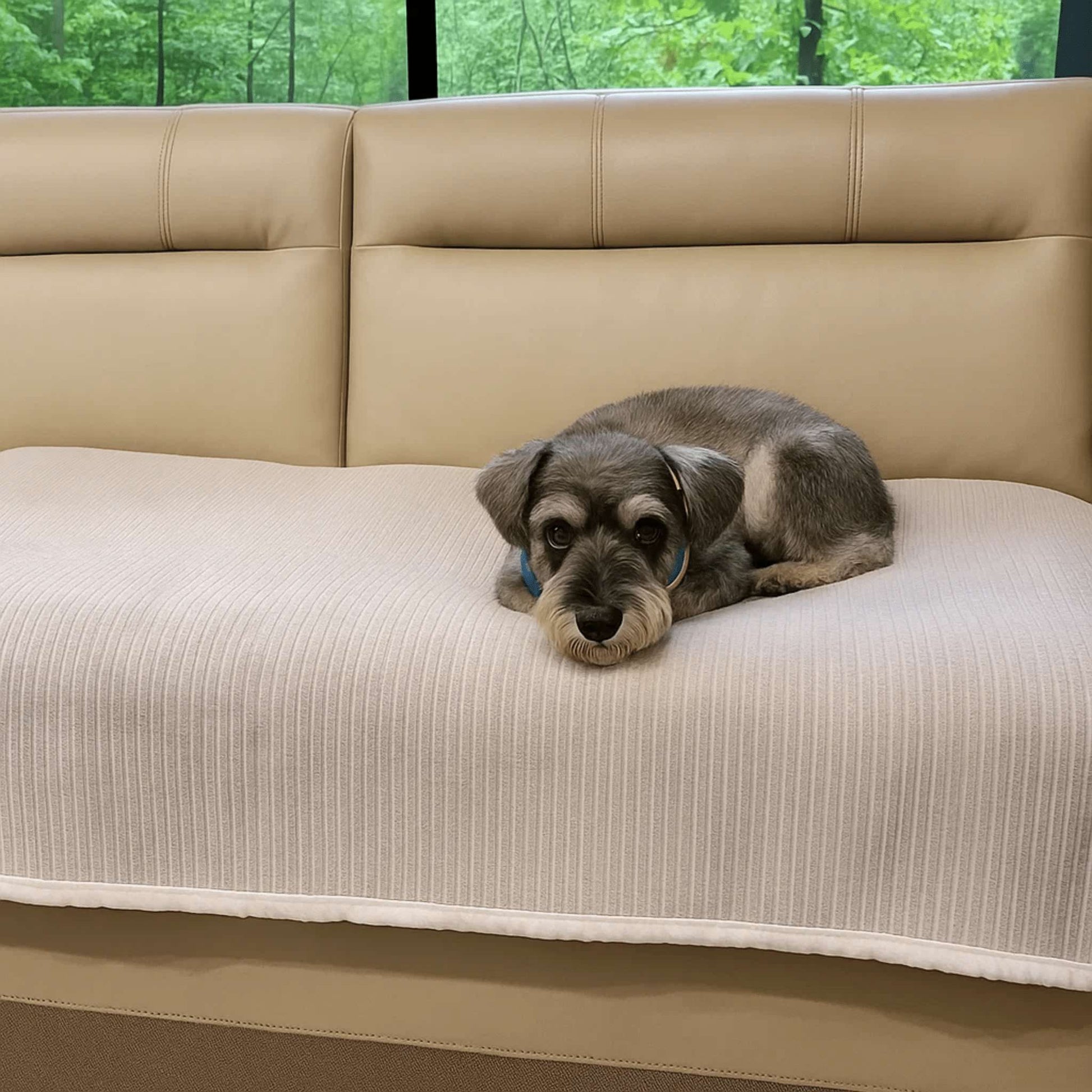 StayCover - Antislip Beschermende Bankhoes - Mivero