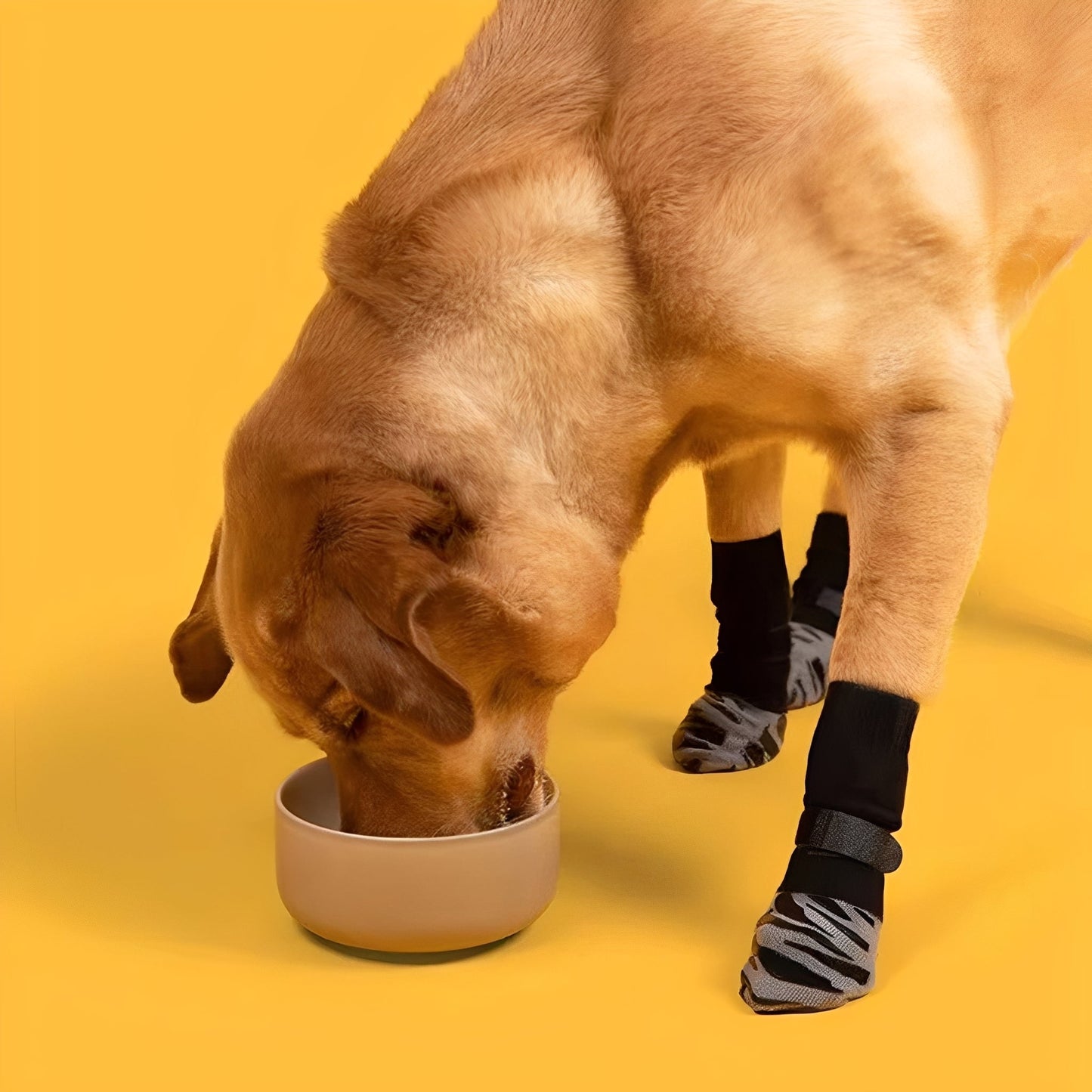 steadypaws - antislip honden gripsokken - mivero