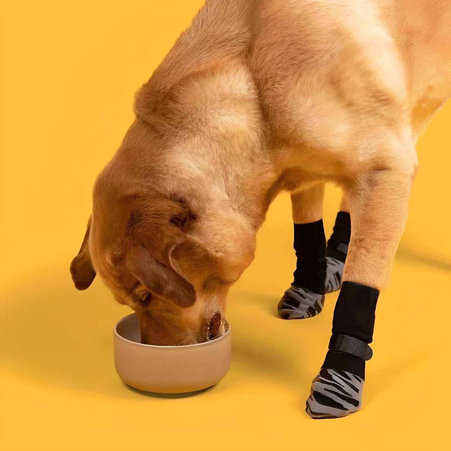 SteadyPaws - Antislip Honden Gripsokken - Mivero