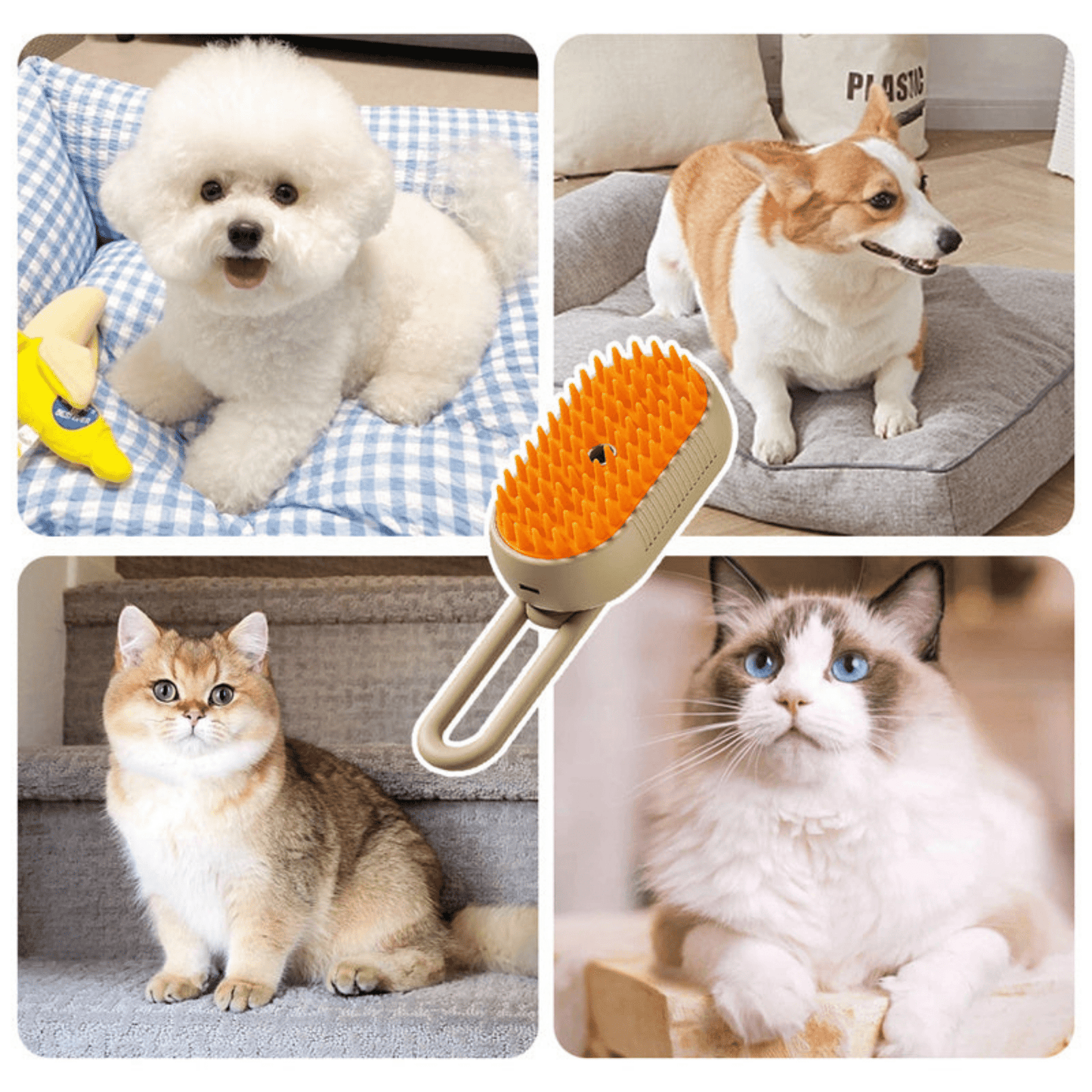 steambrush 2.0 - heeft jou huisdier last van haaruitval? - mivero