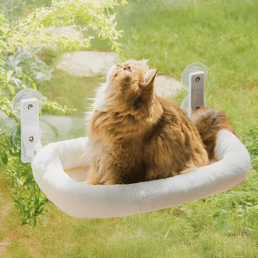 Sunva - Katten Raamhangmat Opvouwbaar met Zuignappen - Mivero