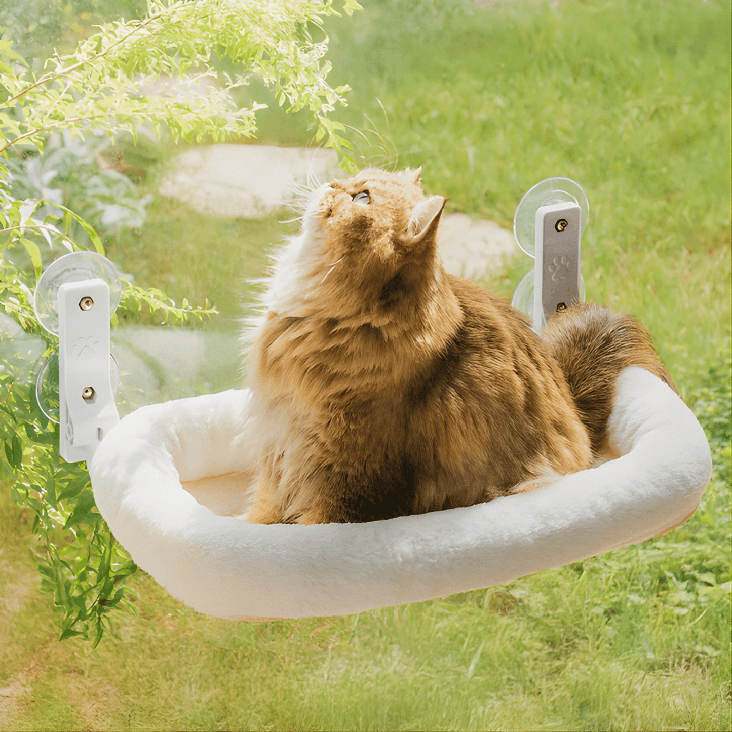 sunva - katten raamhangmat opvouwbaar met zuignappen - mivero