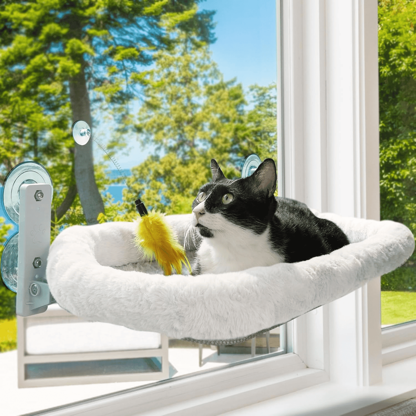 sunva - katten raamhangmat opvouwbaar met zuignappen - mivero