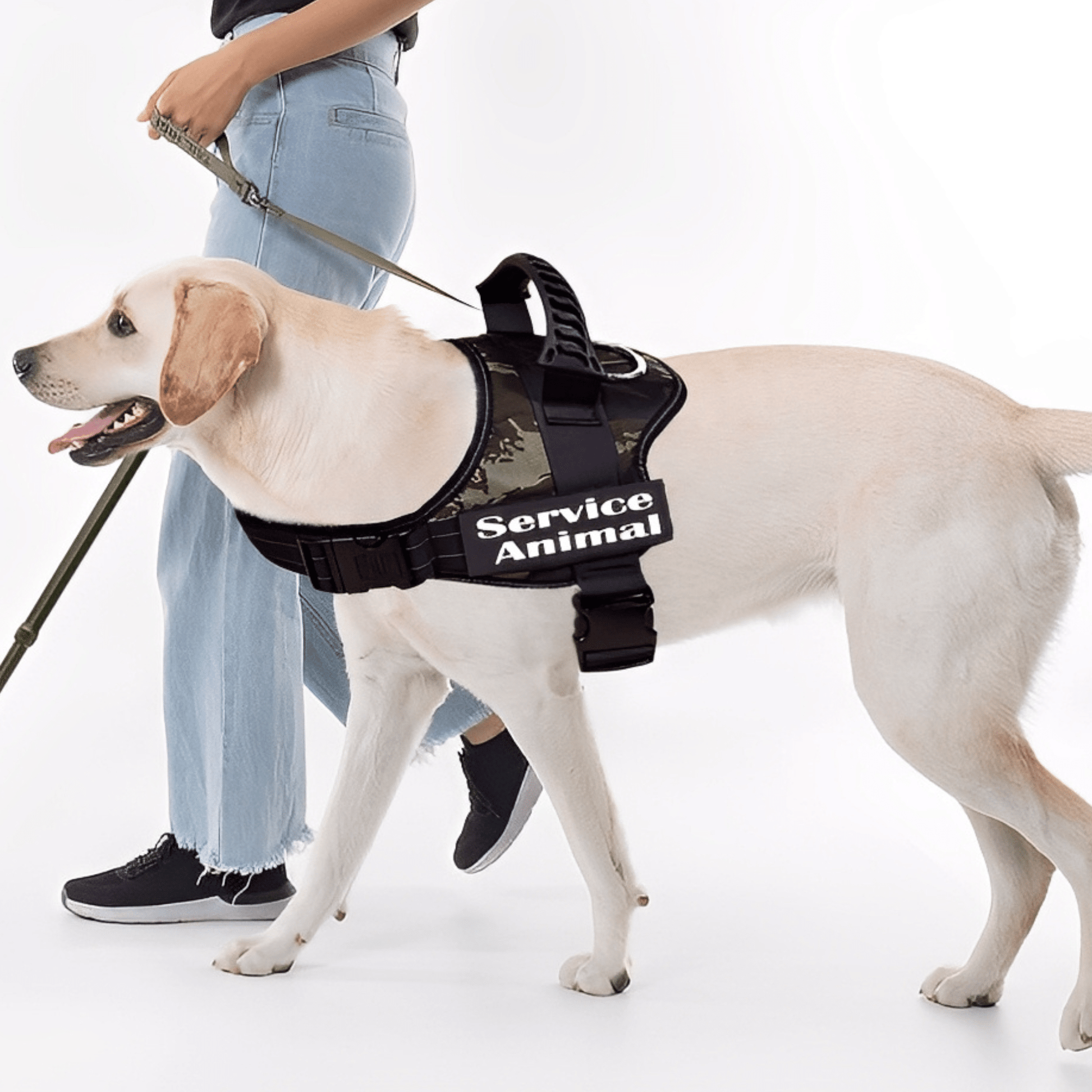 Taglet - Gepersonaliseerde Velcro Hondentag - Mivero