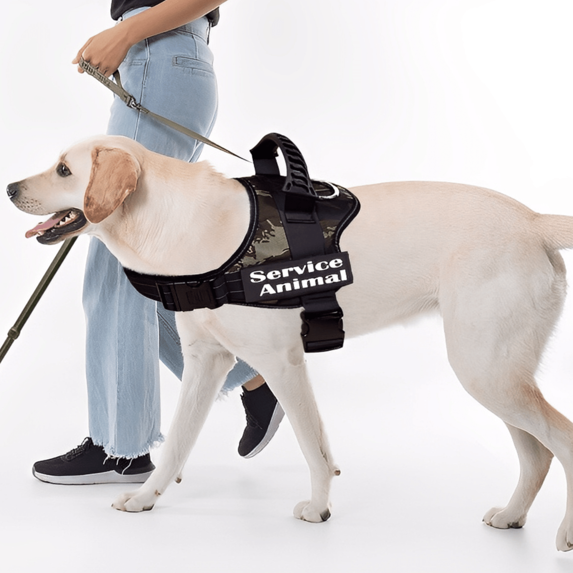 Taglet - Gepersonaliseerde Velcro Hondentag - Mivero