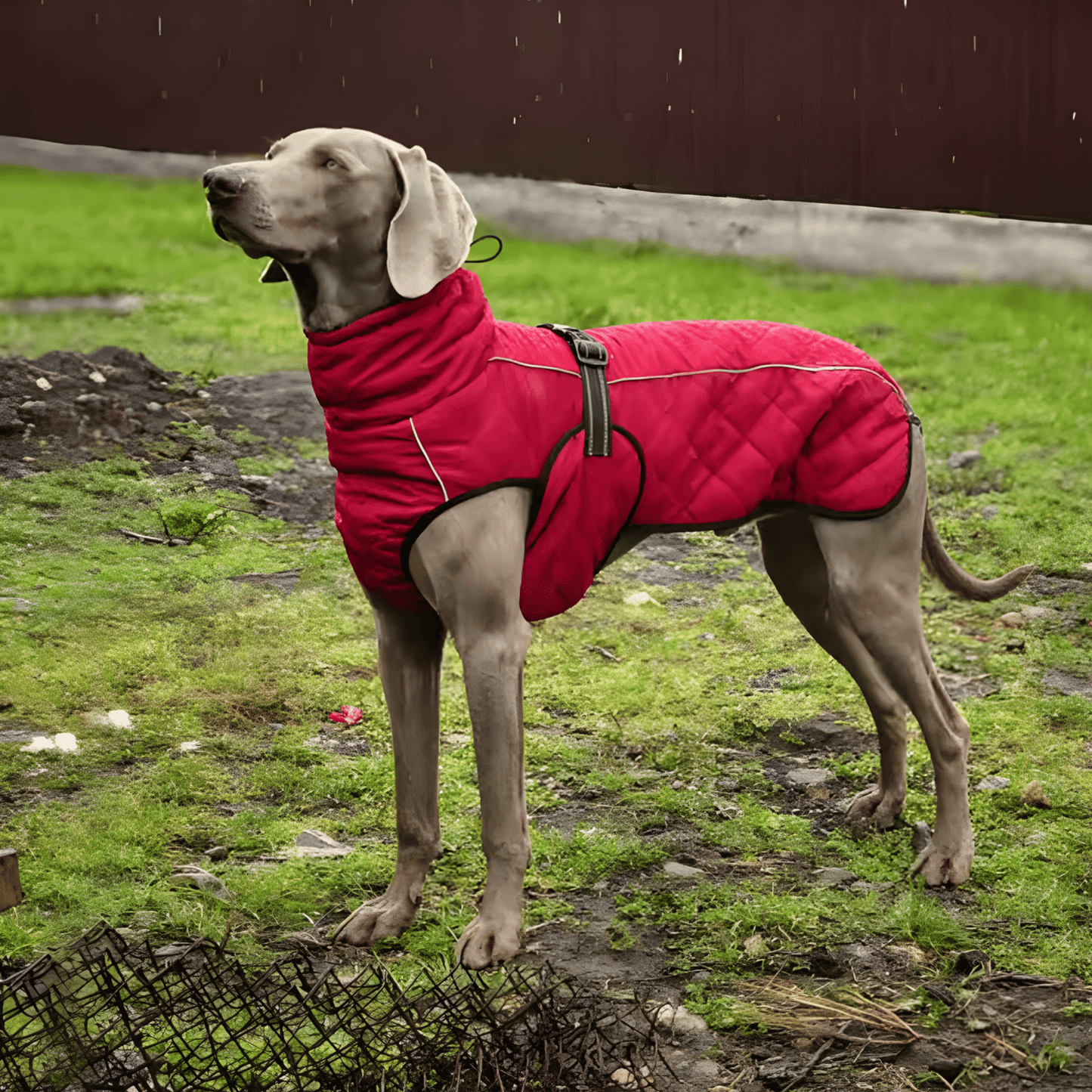 thermutt - fleecevoering honden winterjas met tuigopening - mivero