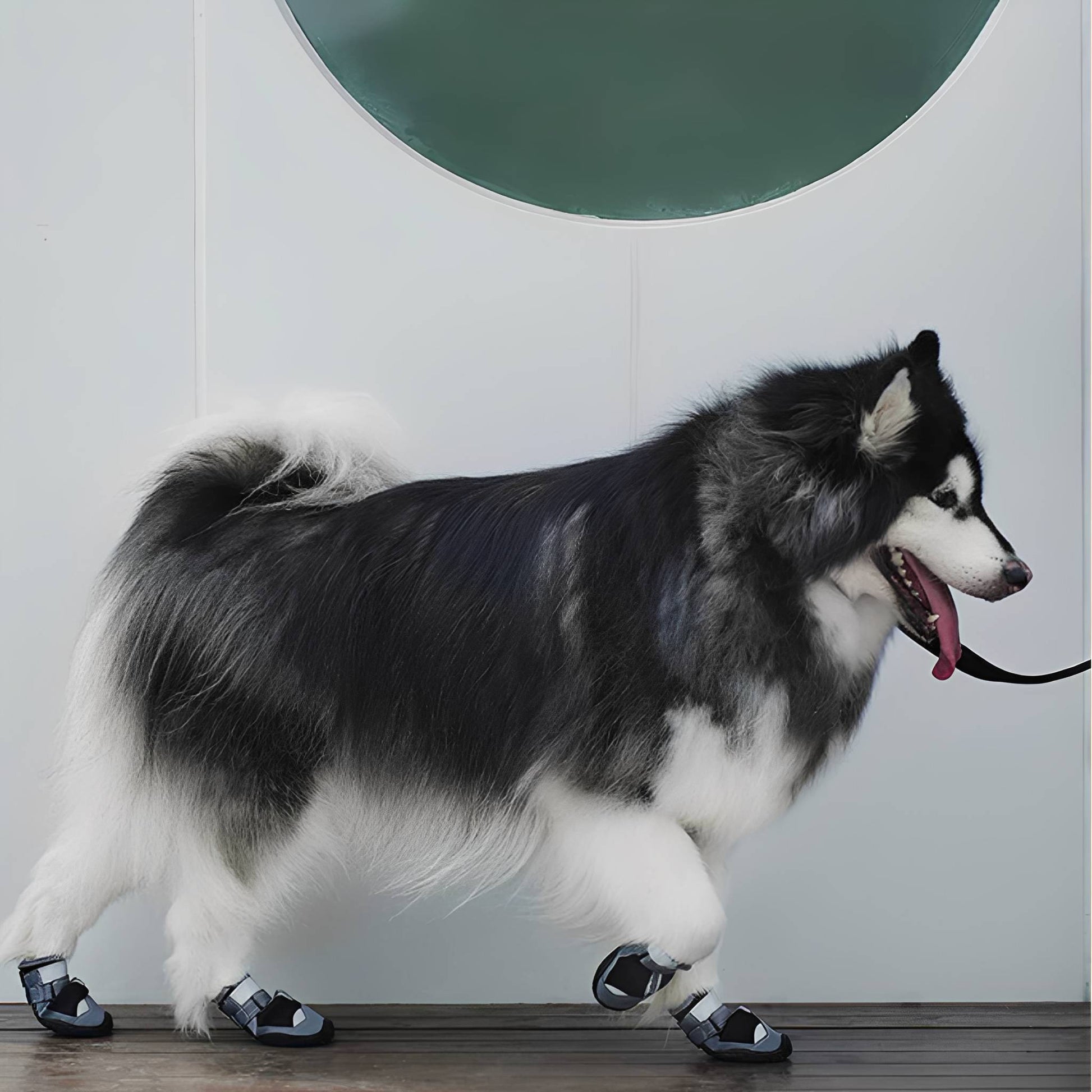 TrailPaws - Beschermende Antislip Hondenschoenen - Mivero